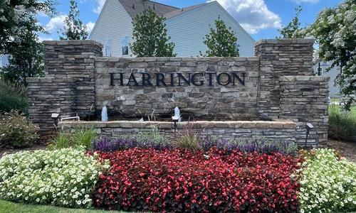 Thumbnail - Harrington