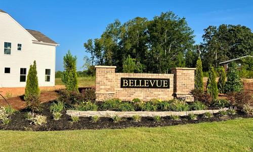 Thumbnail - Bellevue