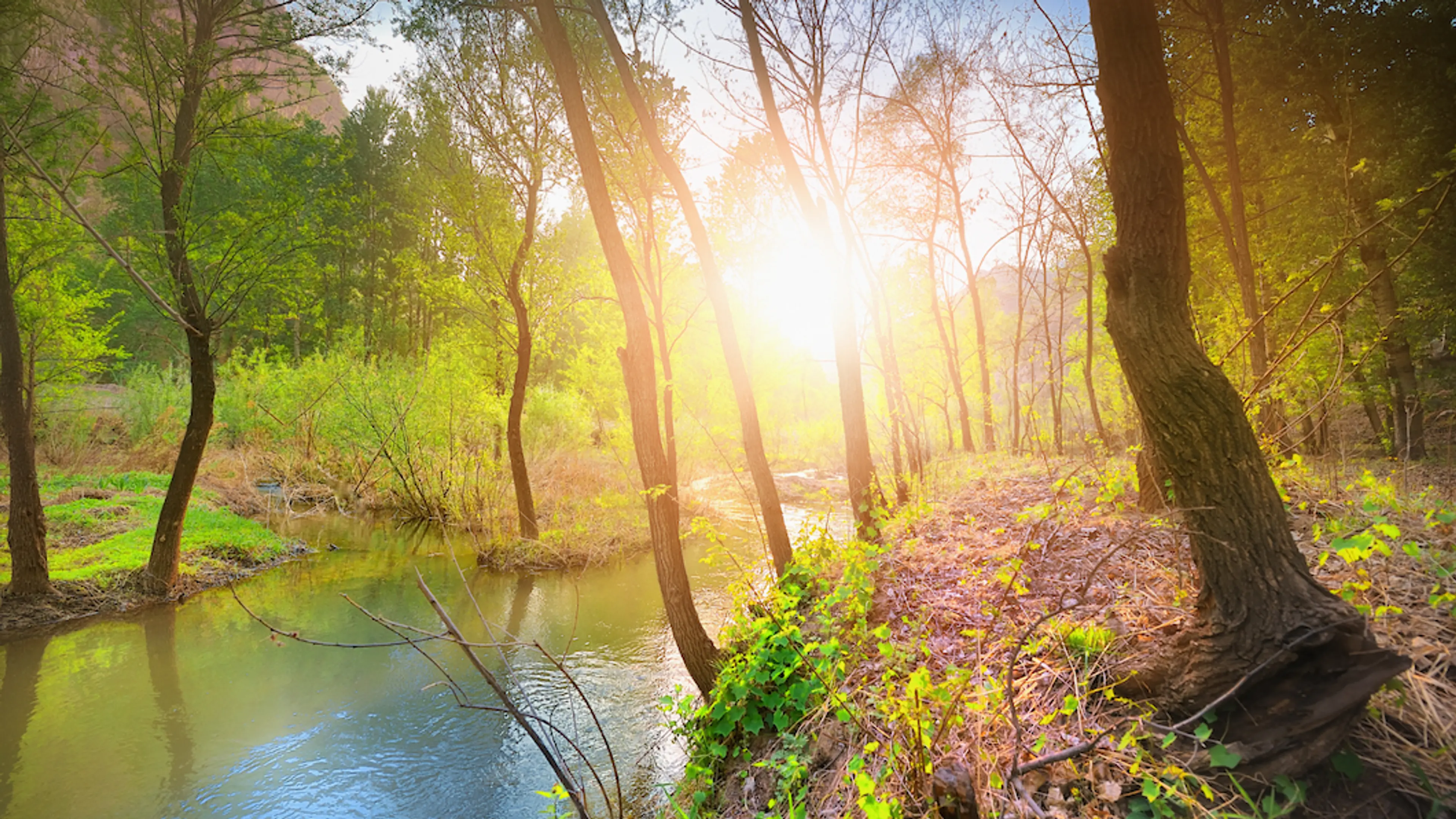 Thumbnail - Peaceful Location