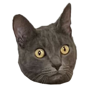 Avatar of Matt Test Agent
