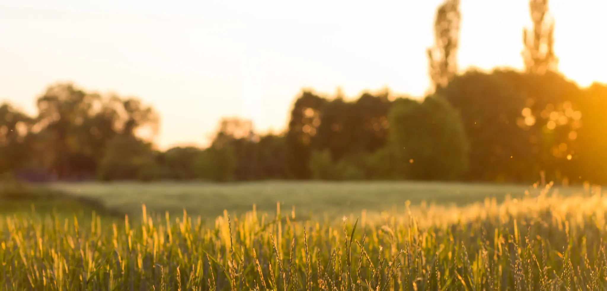 Thumbnail: Build on Your Land