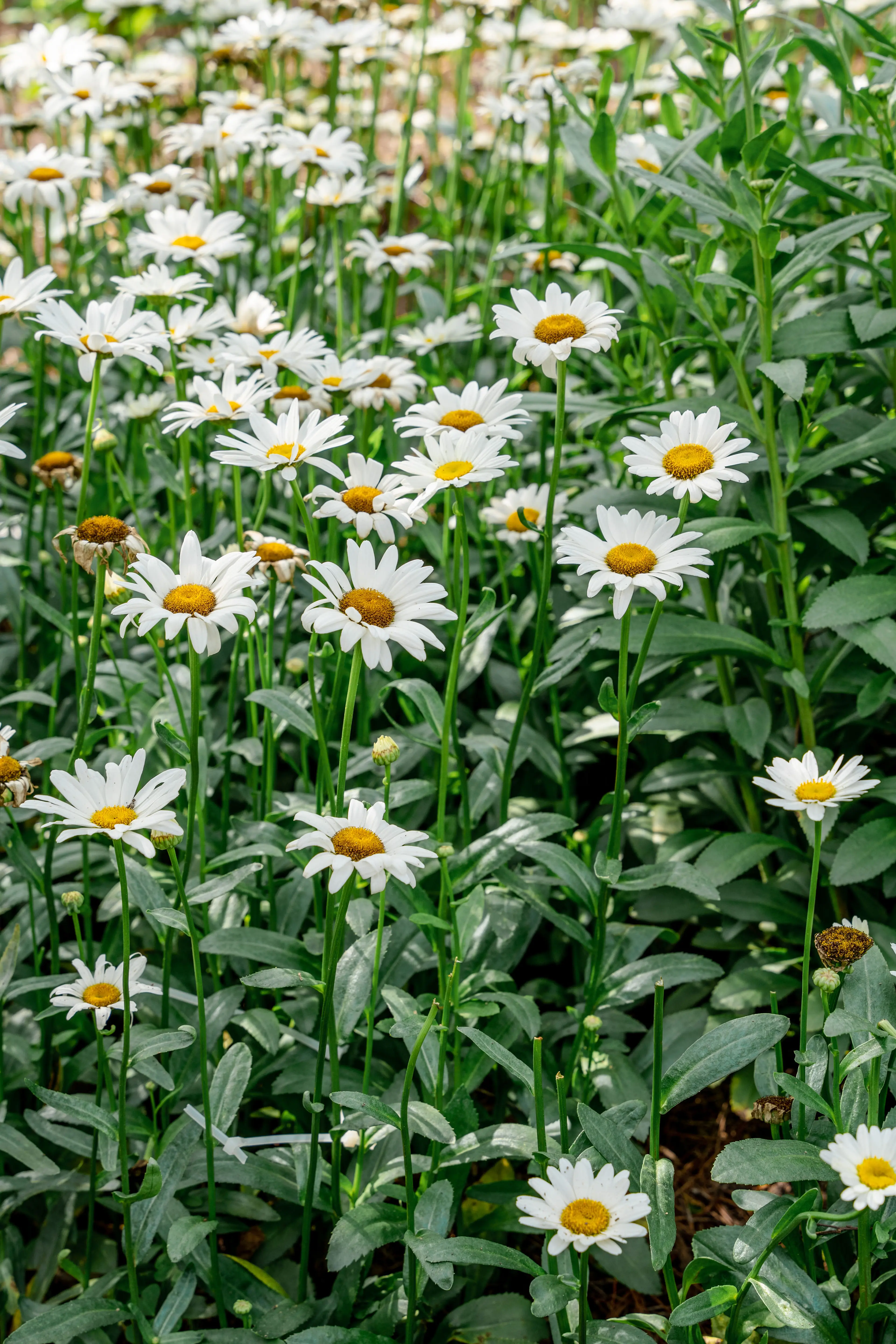 Thumbnail - Amenities