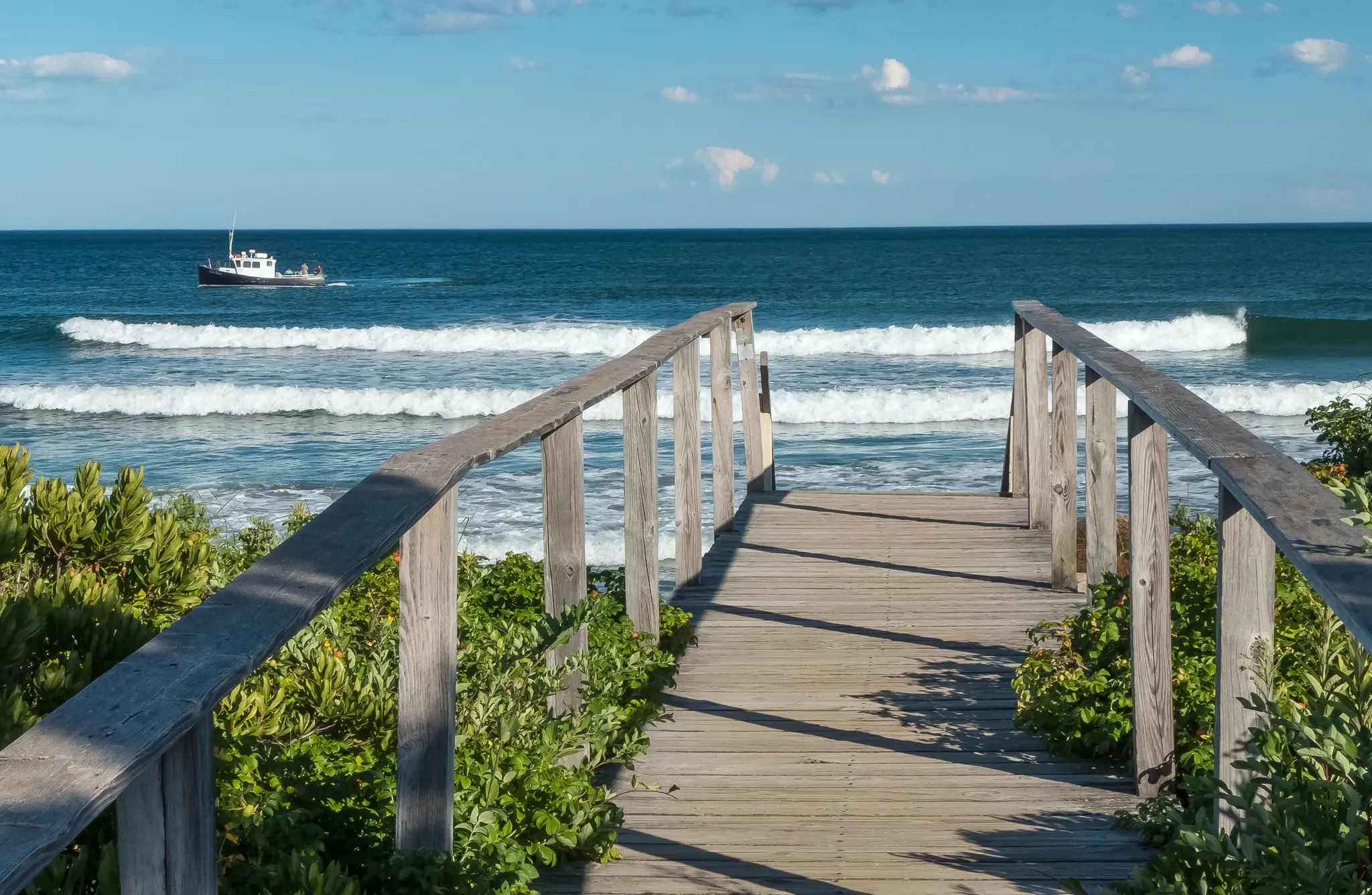 Thumbnail: AdobeStock_90503538 (1)_DSB64634bOsWLZ37