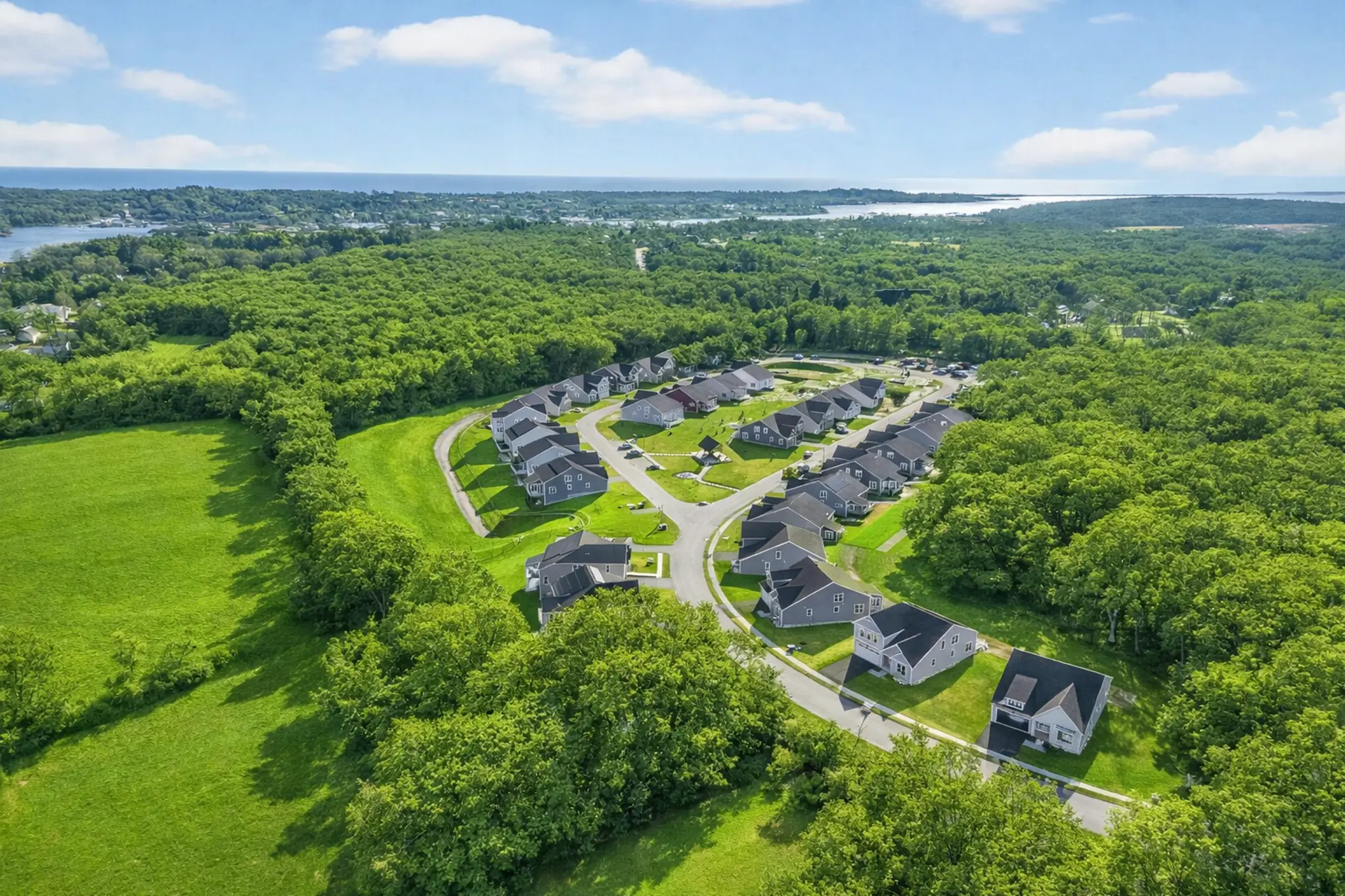 Gallery Thumbnail - 3