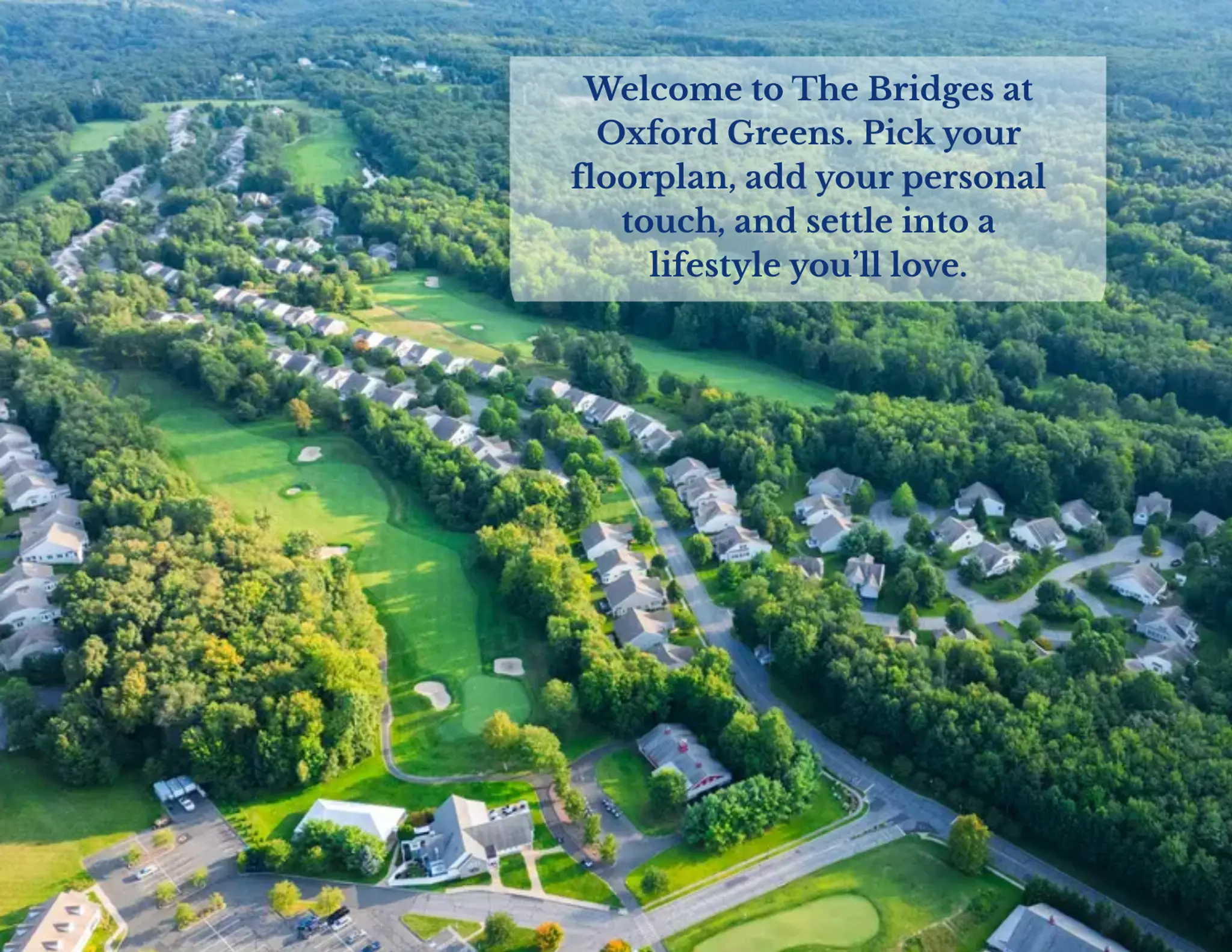 Gallery Thumbnail - 2