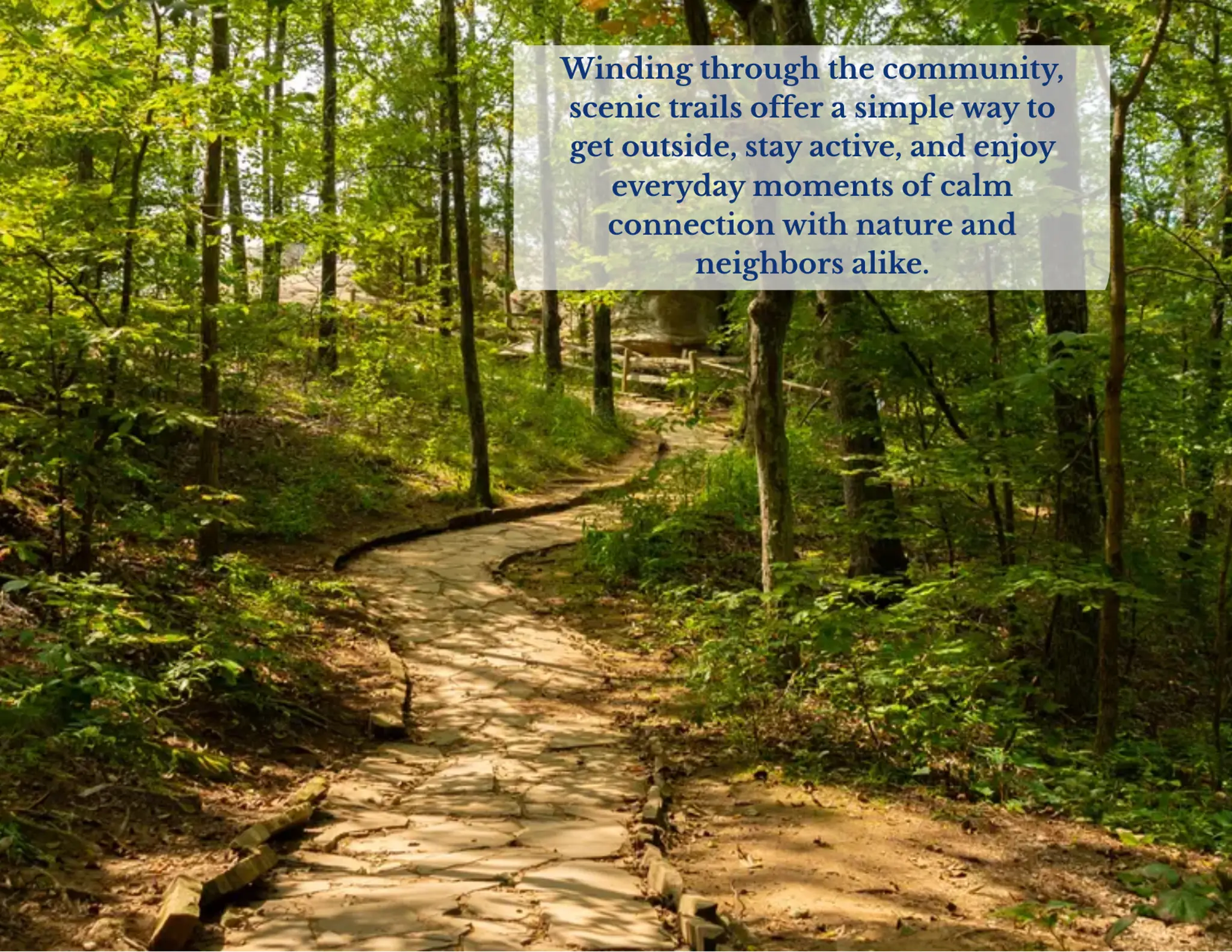 Gallery Thumbnail - 6