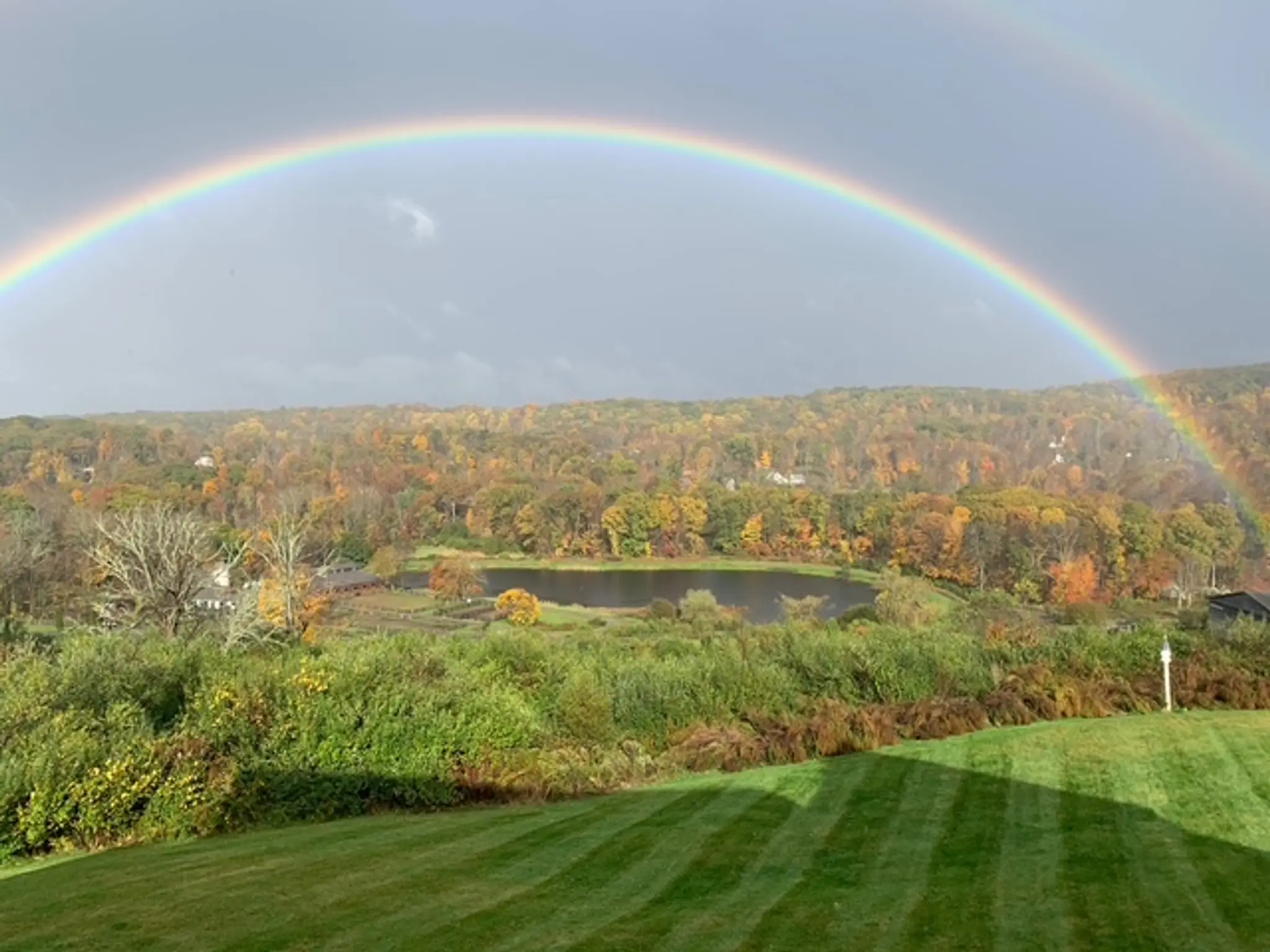 Gallery Thumbnail - 7