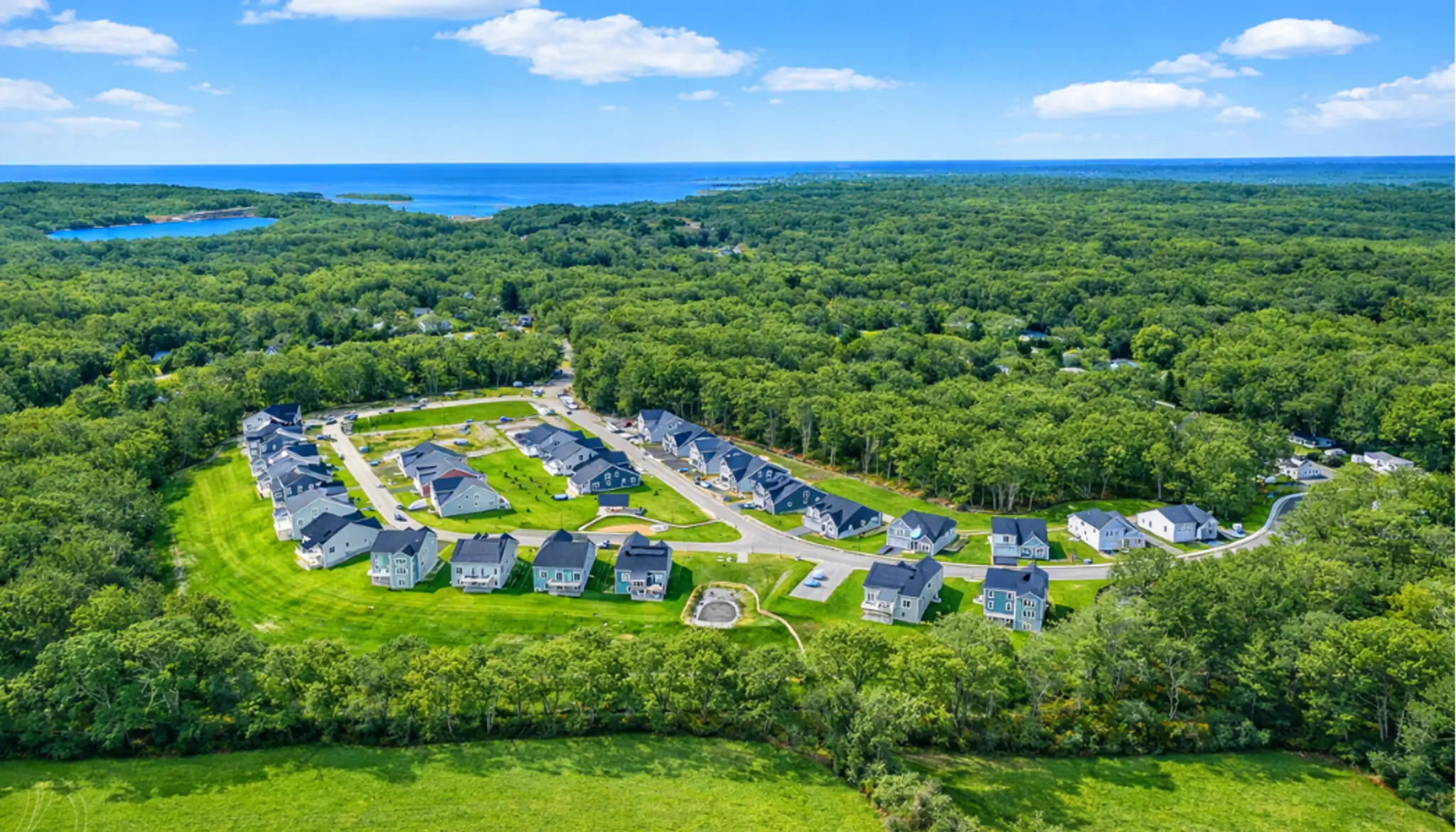 Gallery Thumbnail - 2