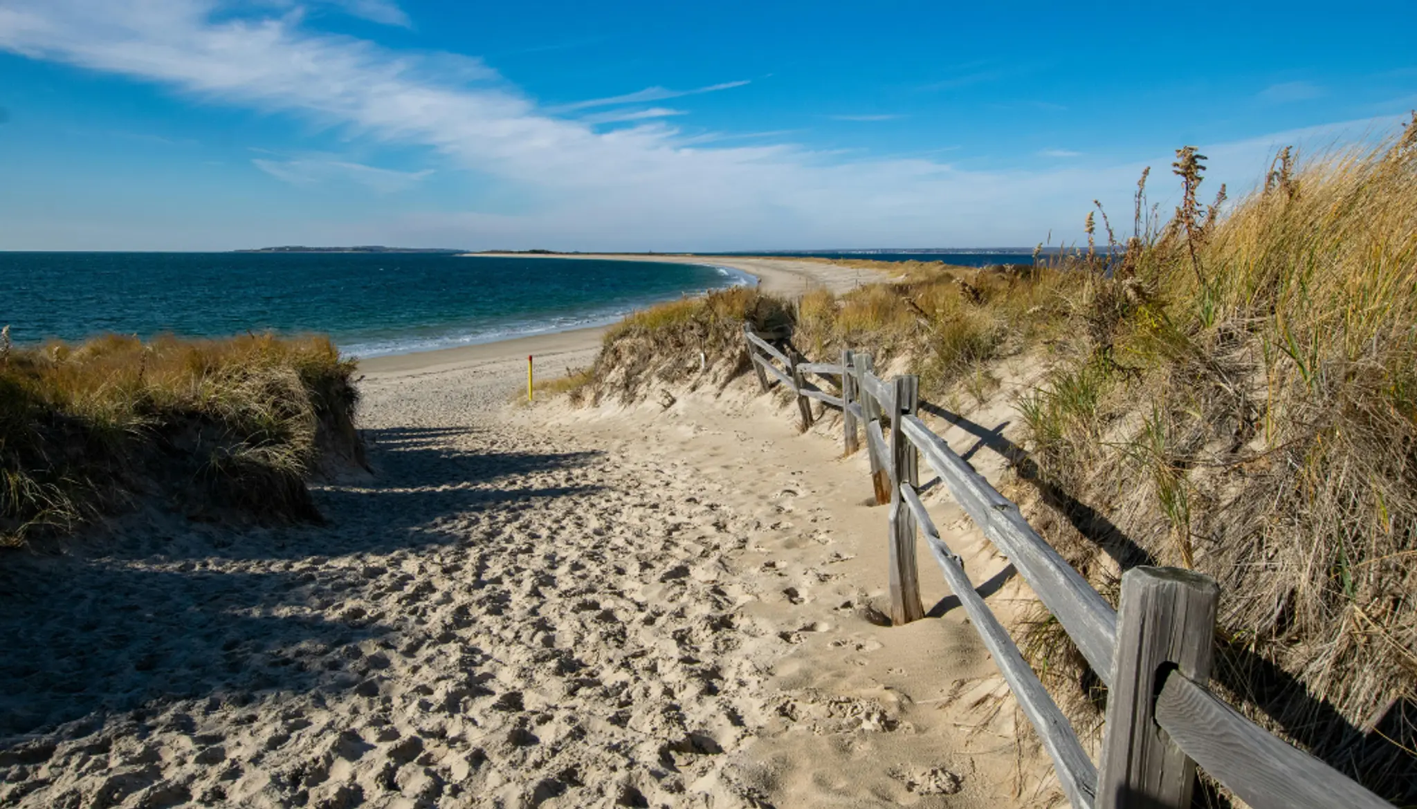 Untitled design (15)_leMzltqTVRbFSGEY - Thumbnail