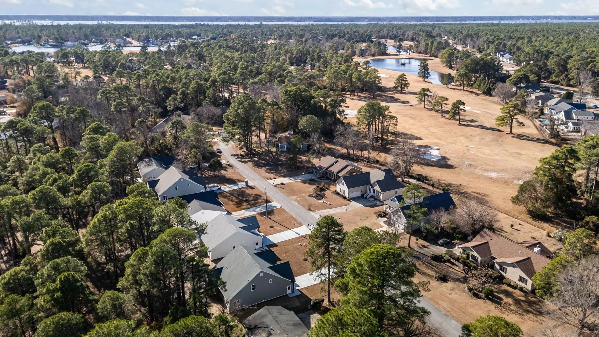 Gallery Thumbnail - 5