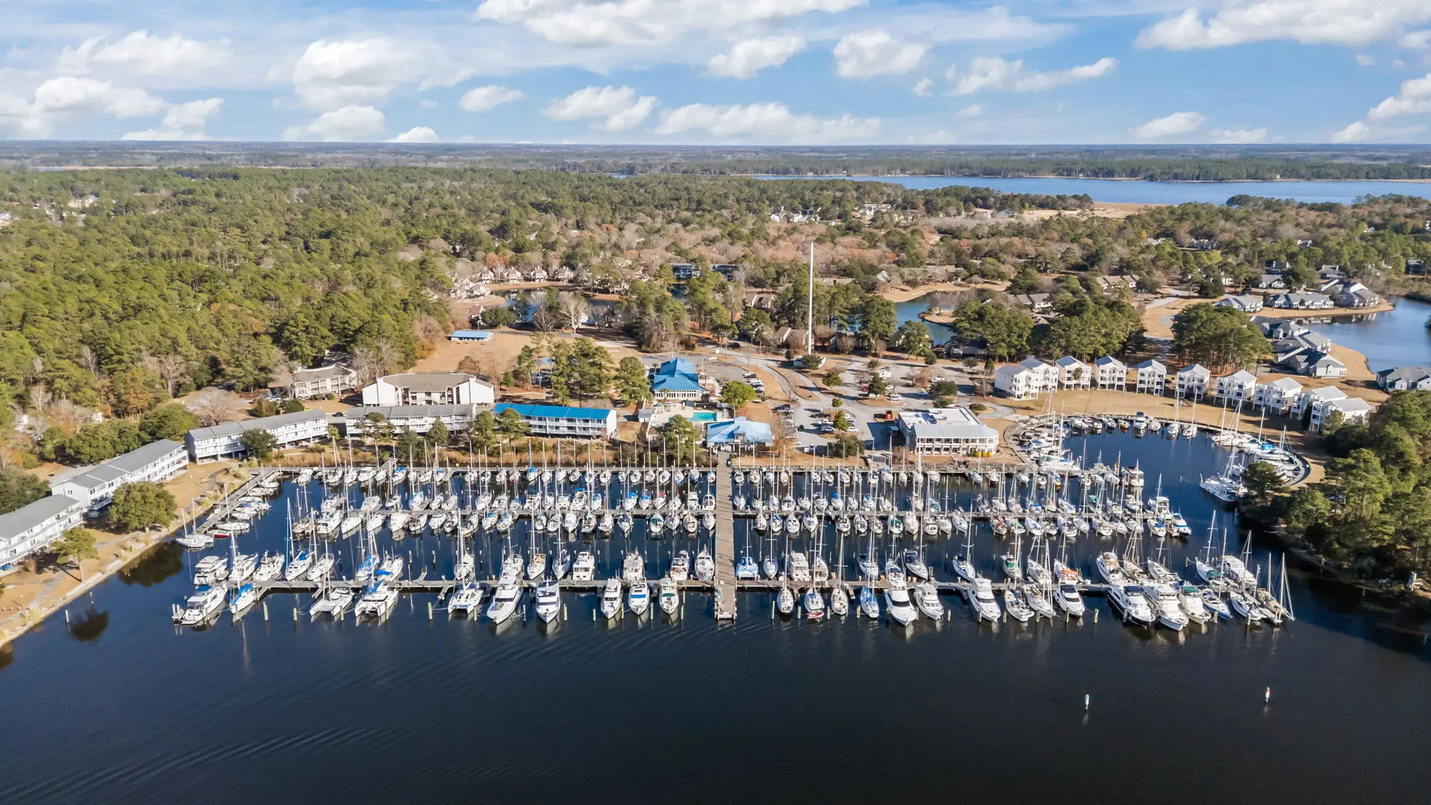 Gallery Thumbnail - 2