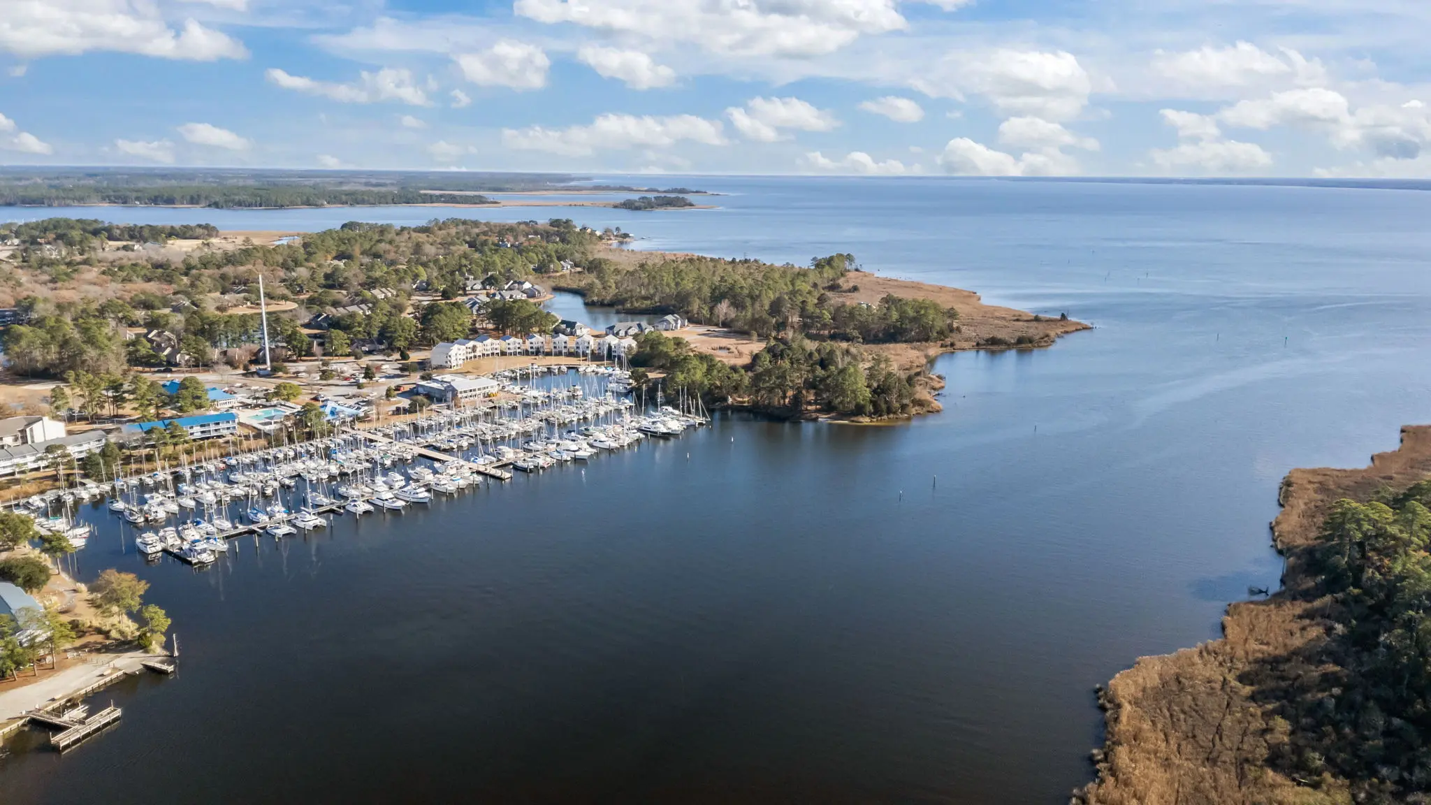 Gallery Thumbnail - 4