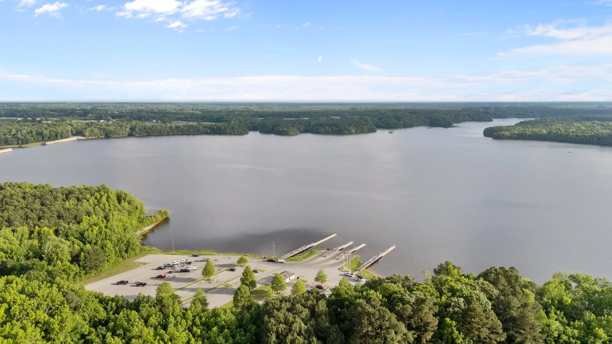 Gallery Thumbnail - 2