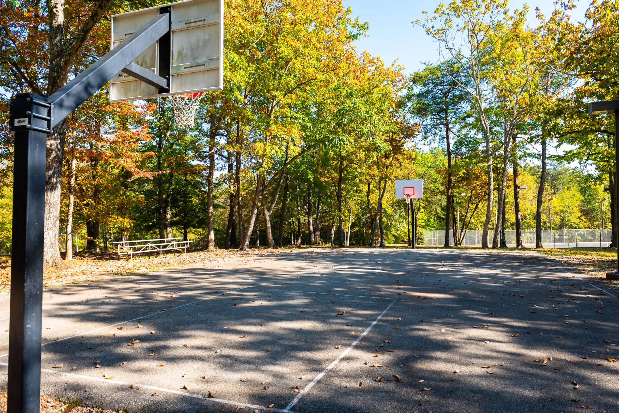 Easy Access to Parks & Recreation