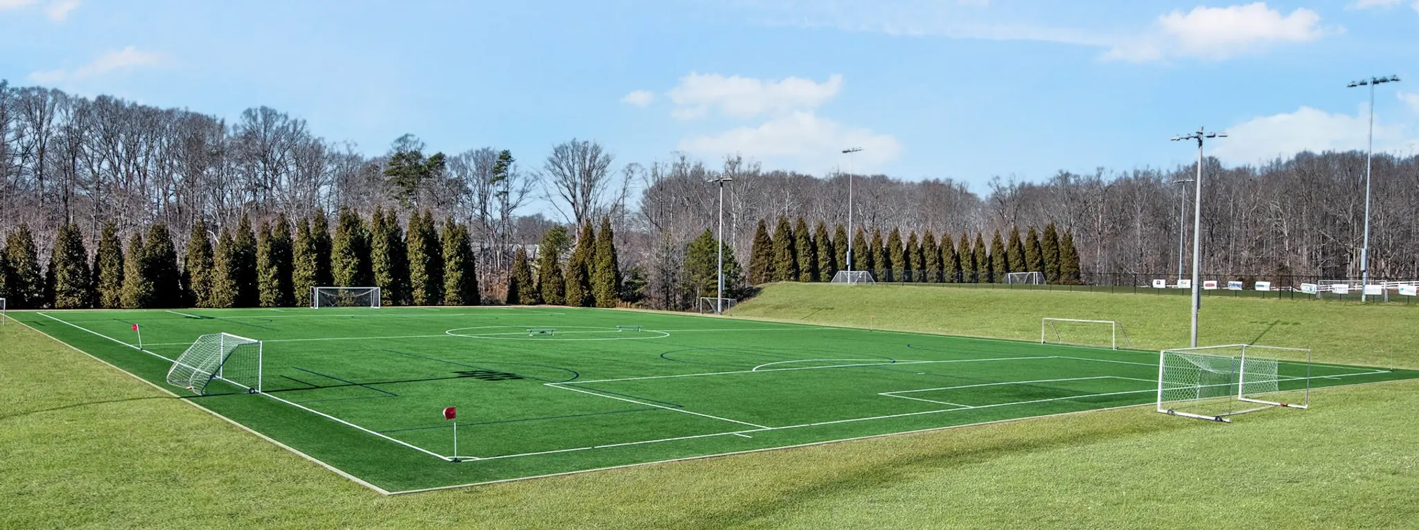 Gallery Thumbnail - 5