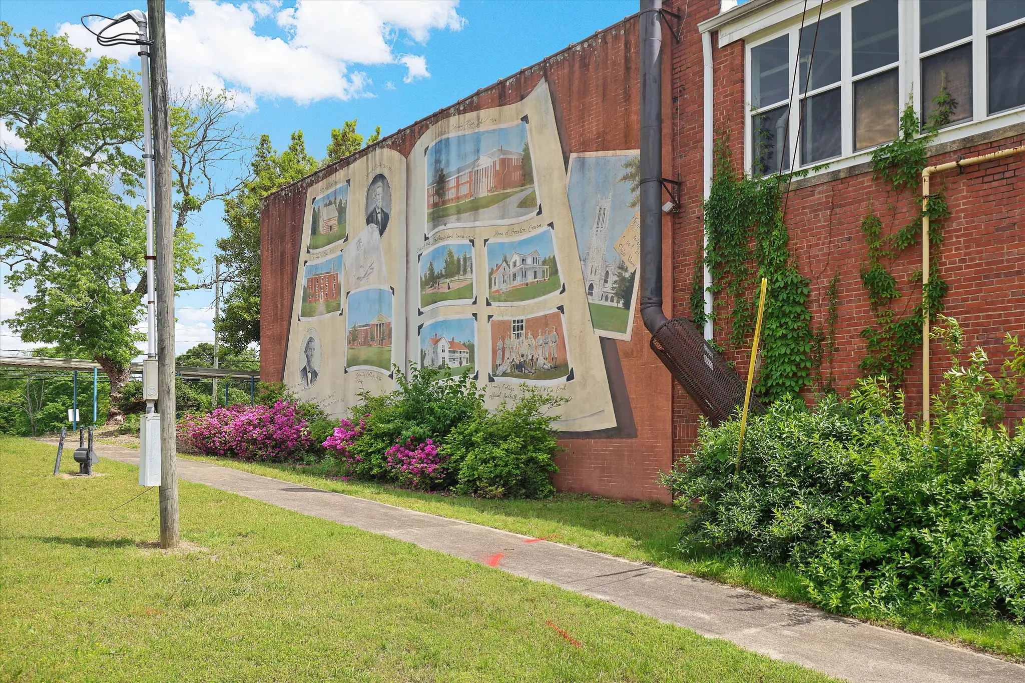 Gallery Thumbnail - 3