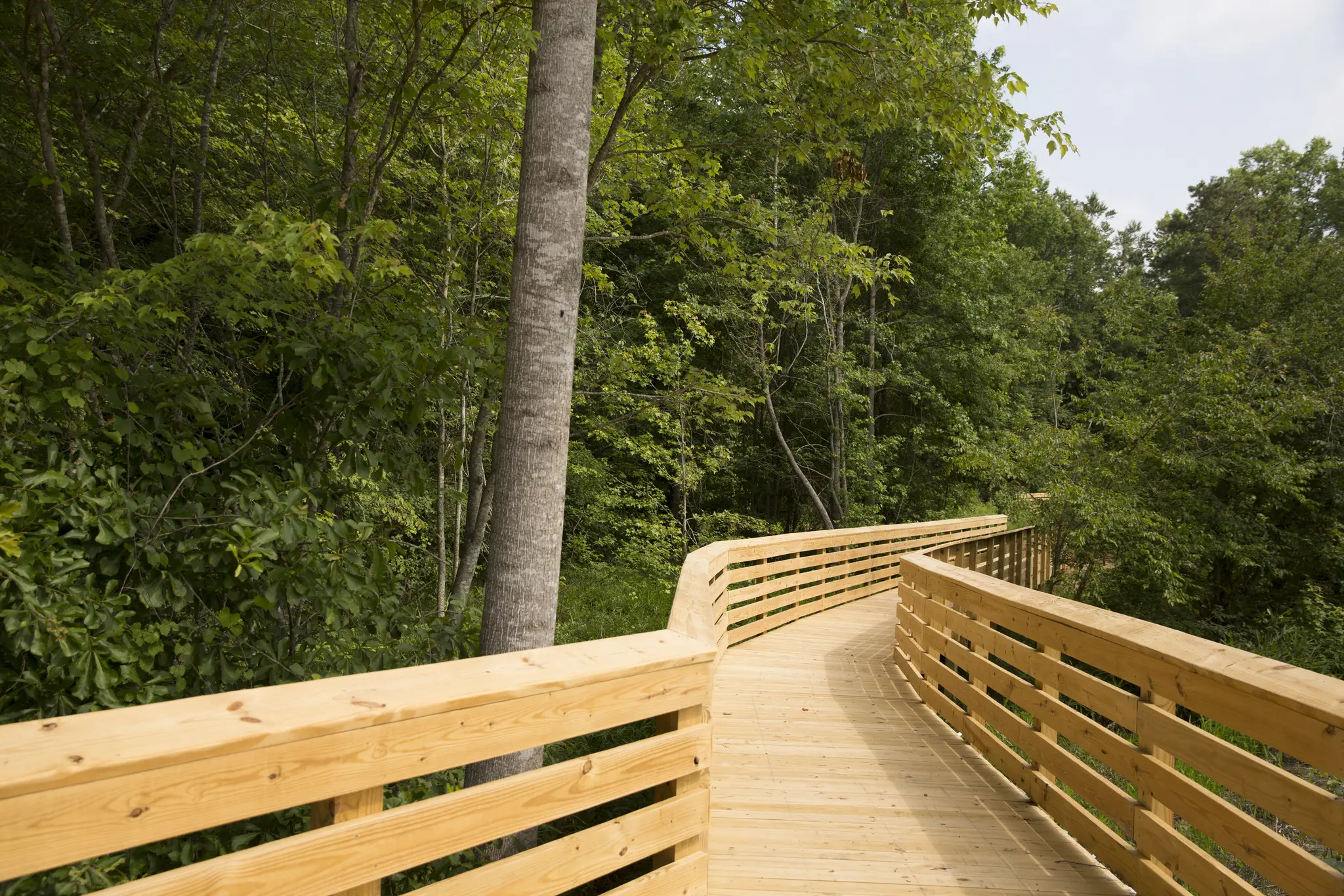 Walking & Biking Trails