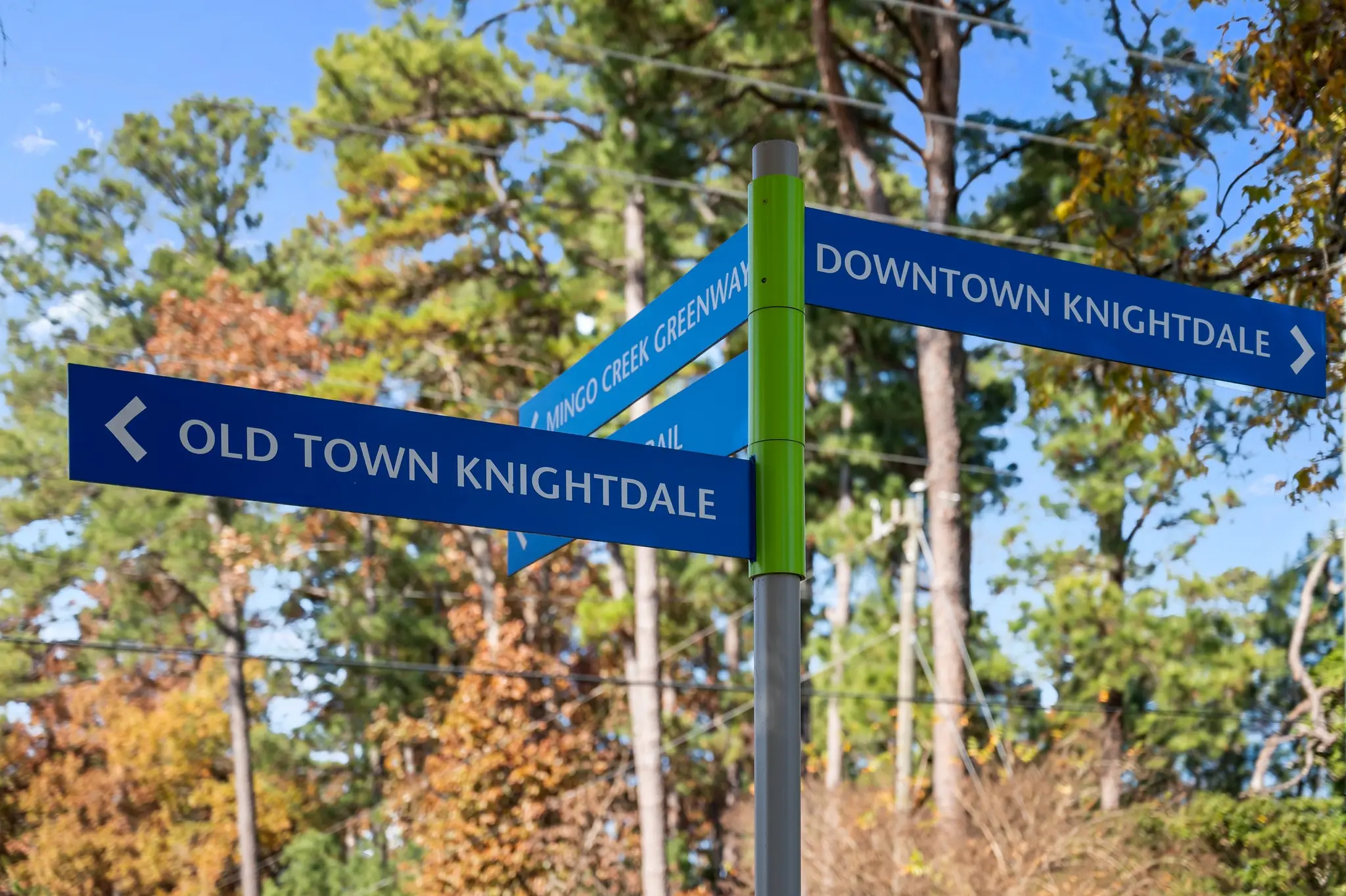 Gallery Thumbnail - 11