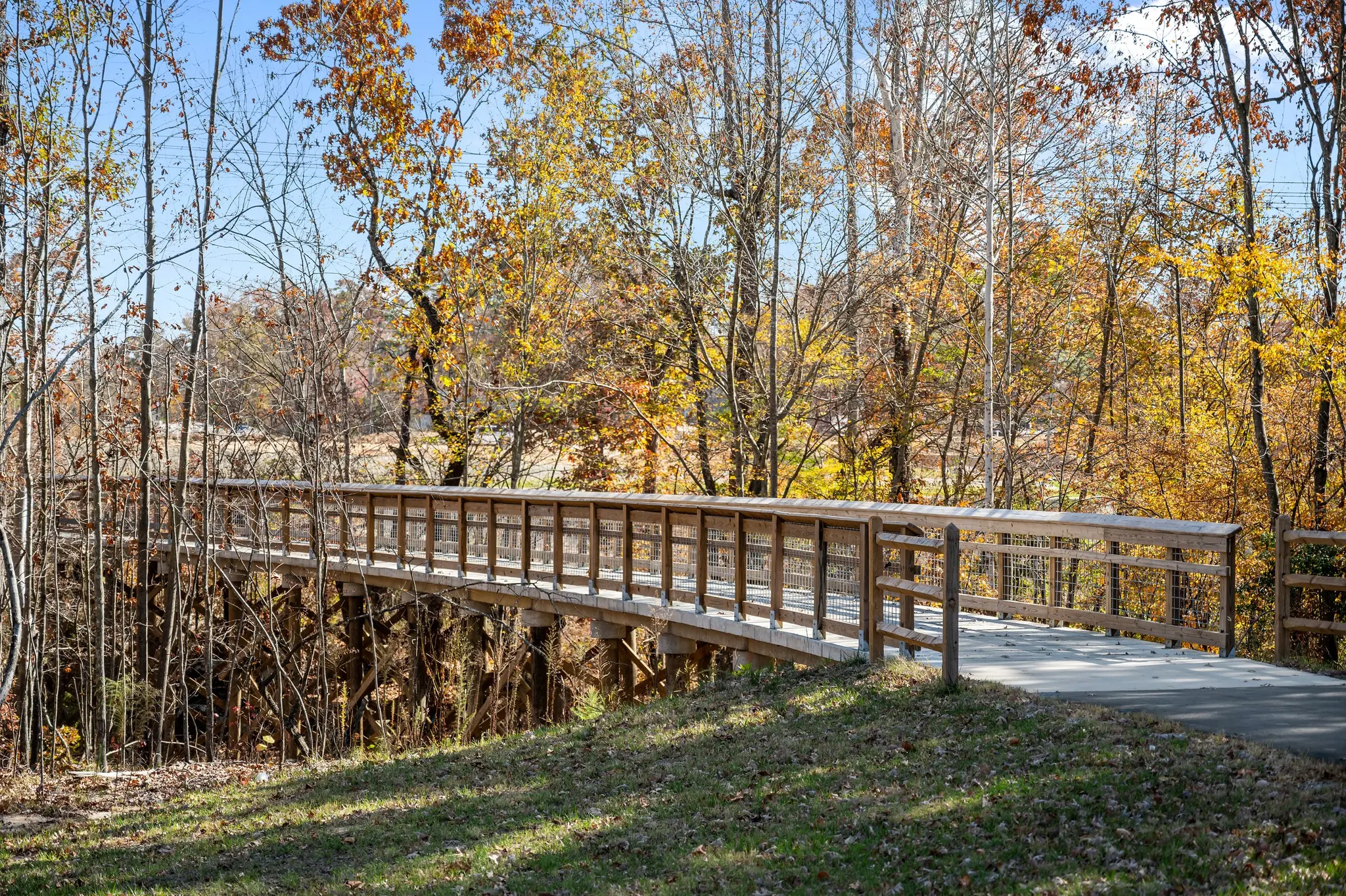 Gallery Thumbnail - 8