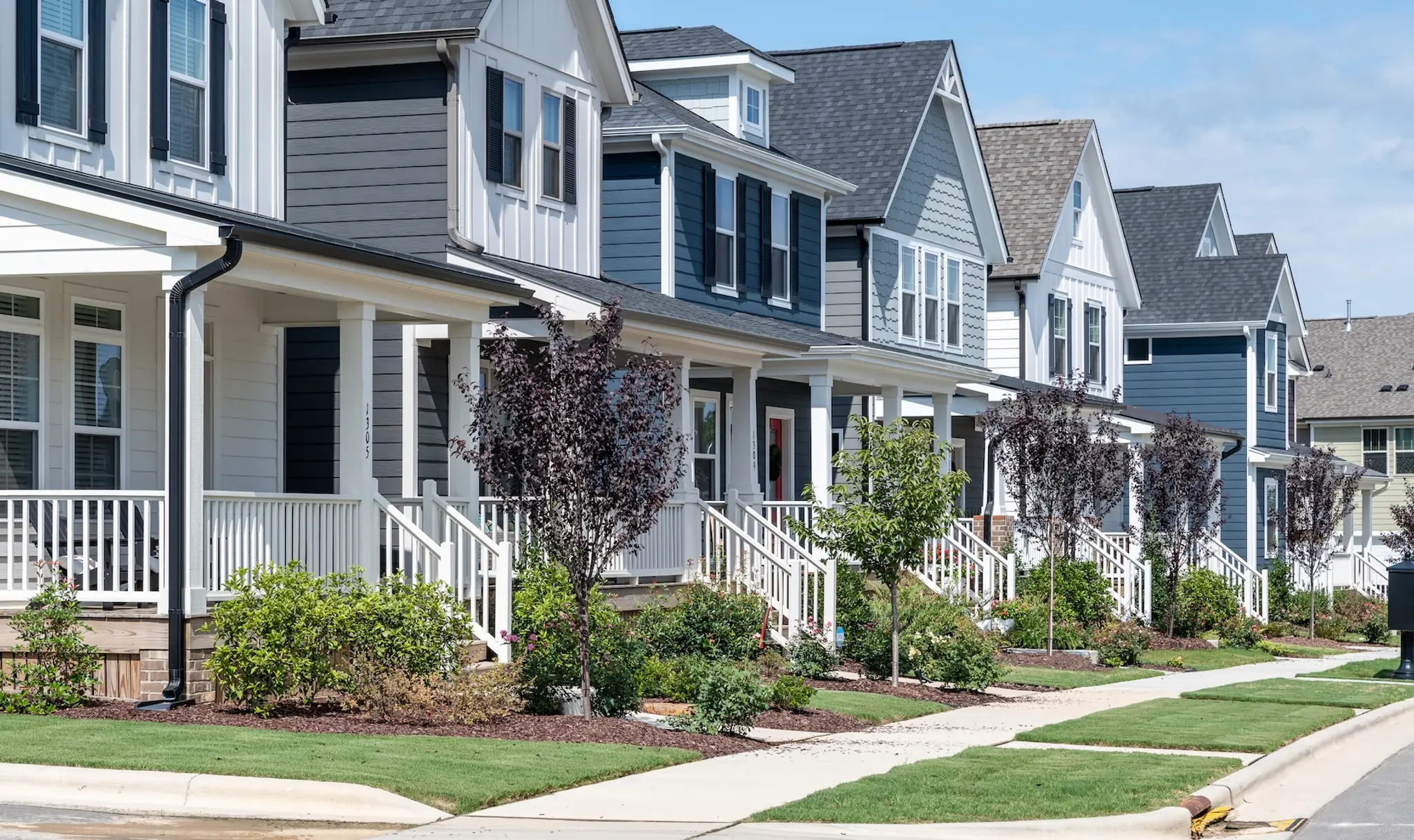 Gallery Thumbnail - 4