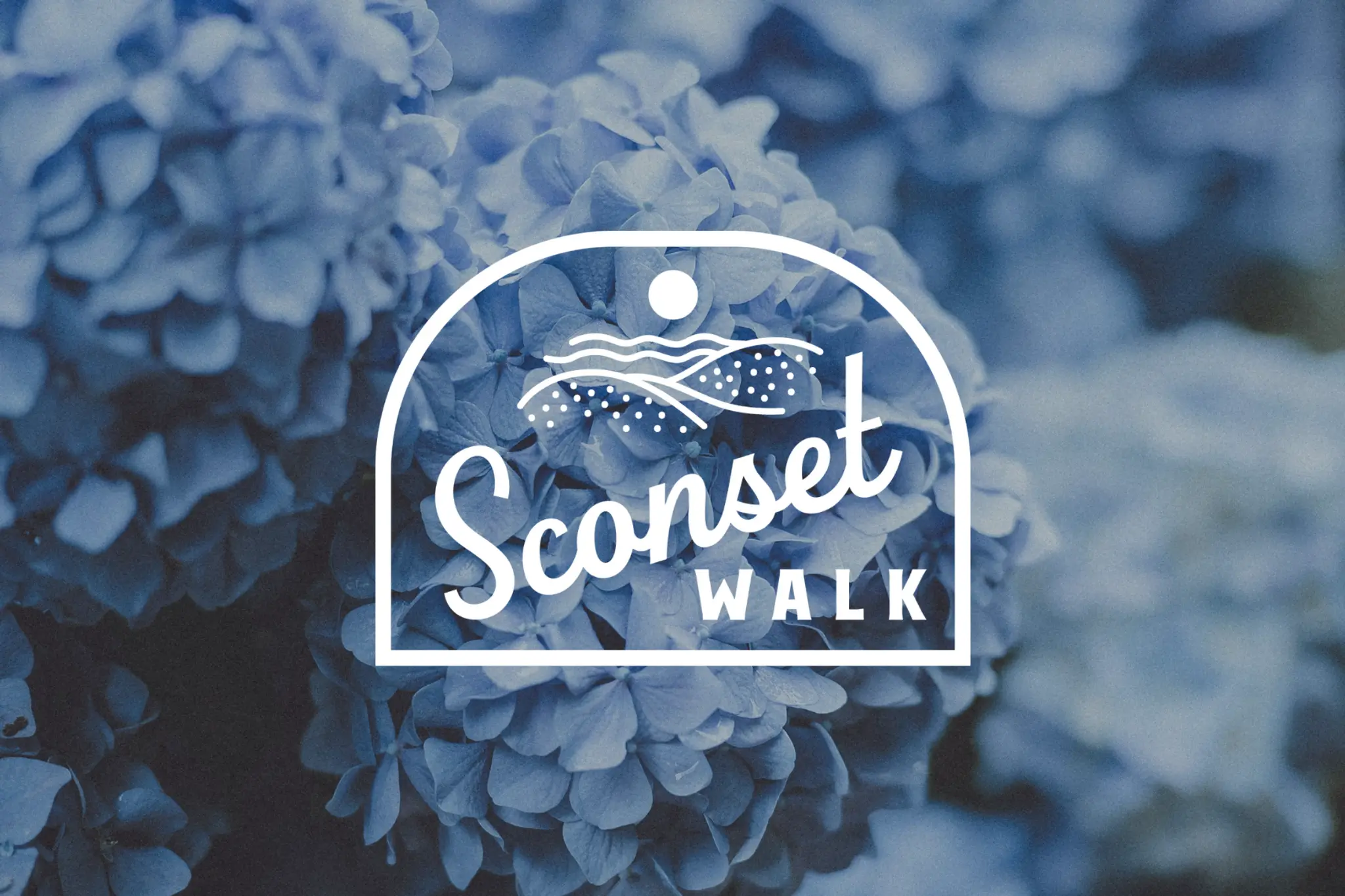 hero-sconset_0UB2rKRtGBC5HmMp - Thumbnail