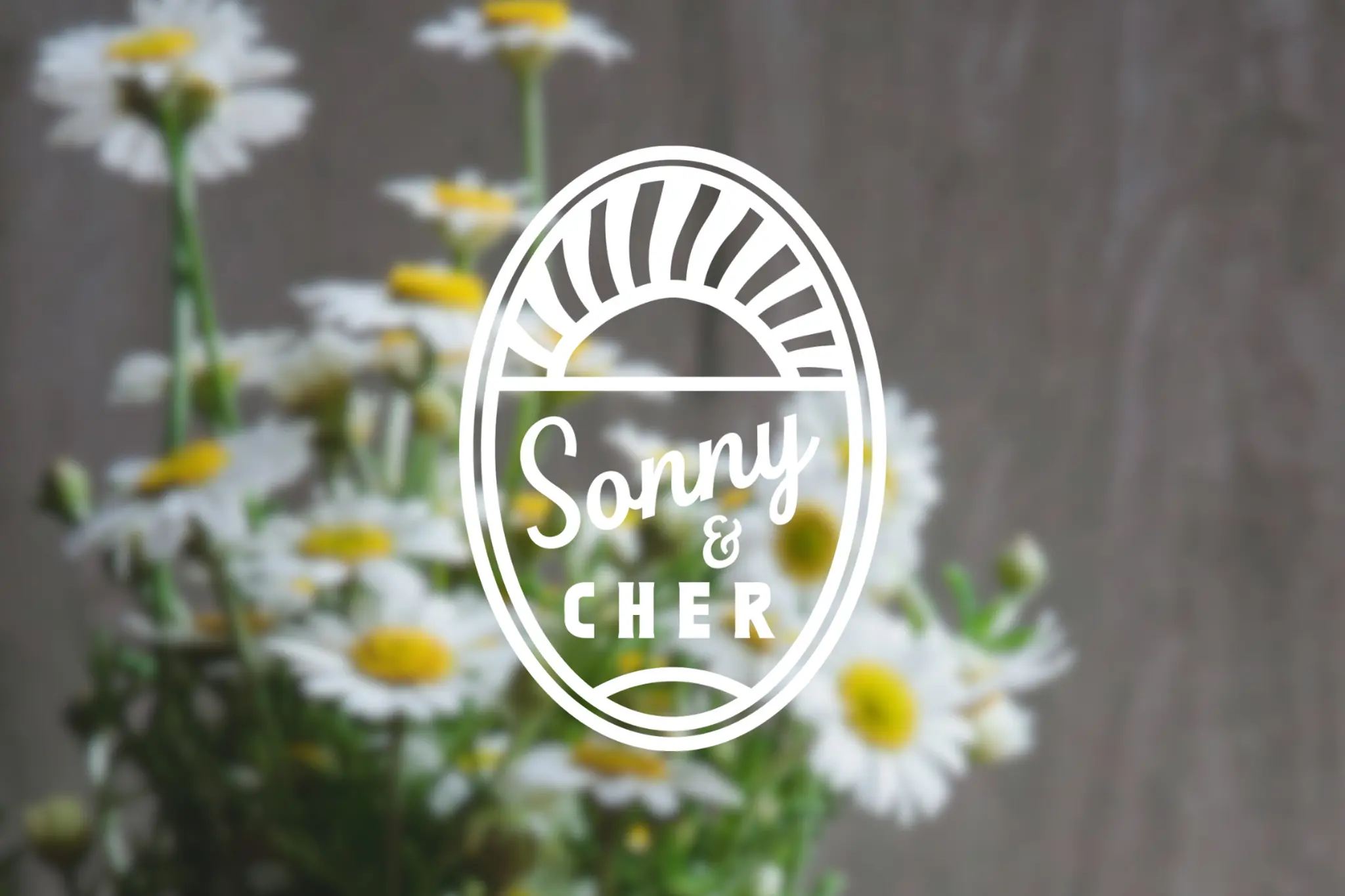 hero-sonny_fLGu8VQyu7imfdxw - Thumbnail