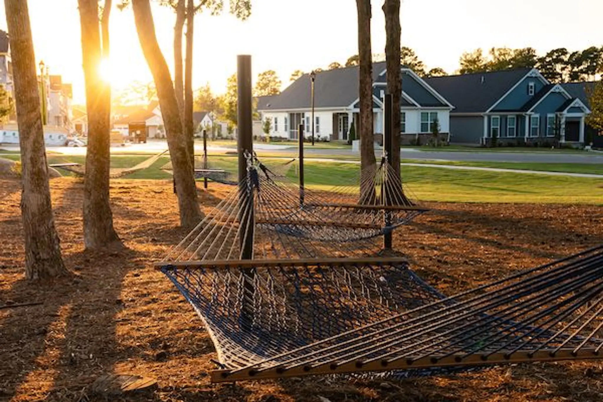 Gallery Thumbnail - 3