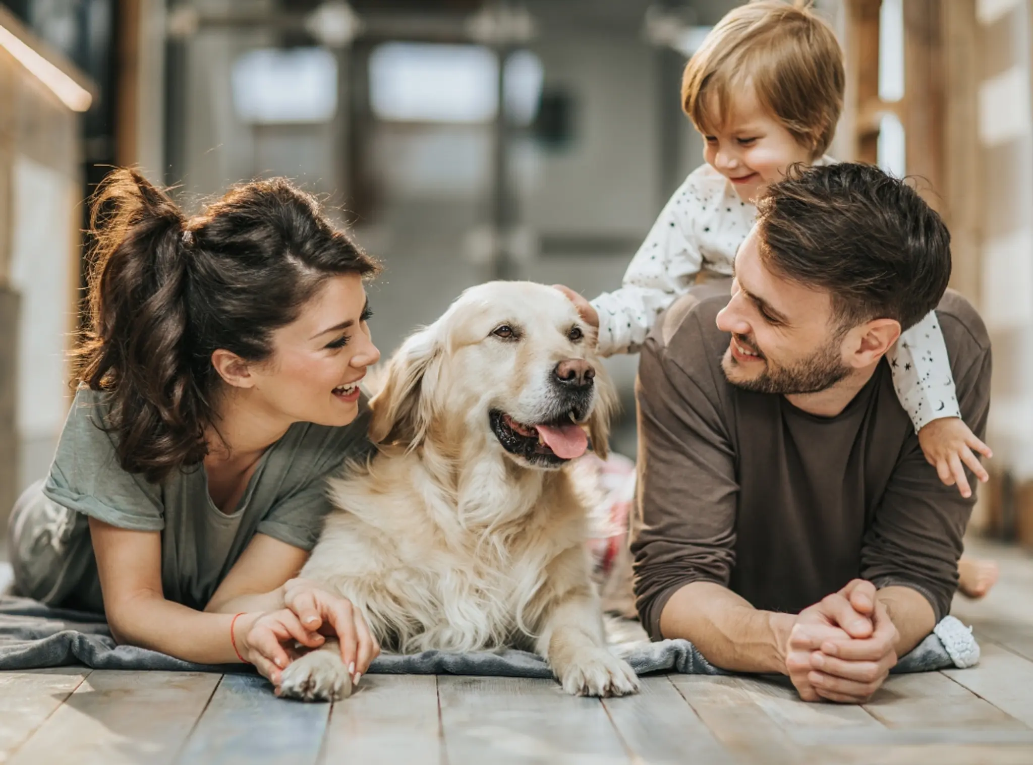 Thumbnail: Commit to Excellence