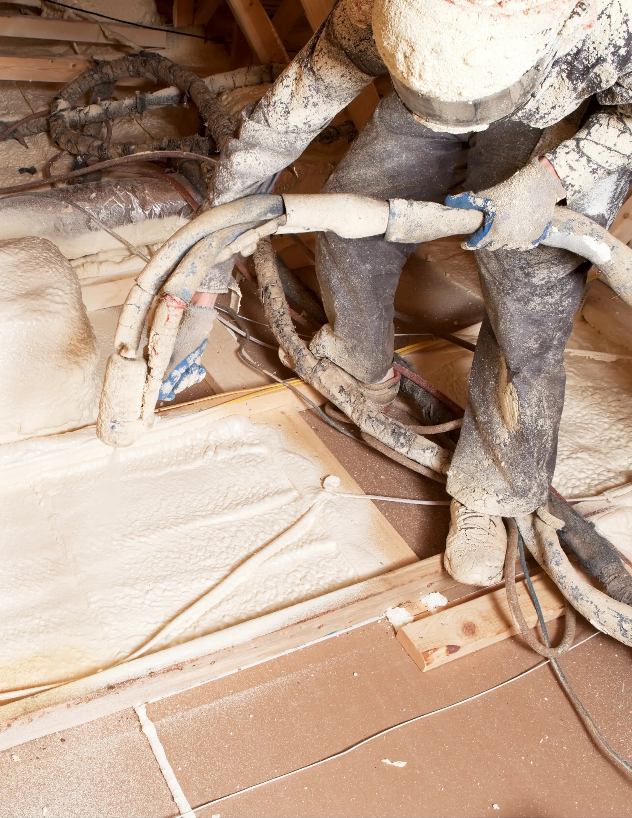 Thumbnail: Bring Your Attic Indoors