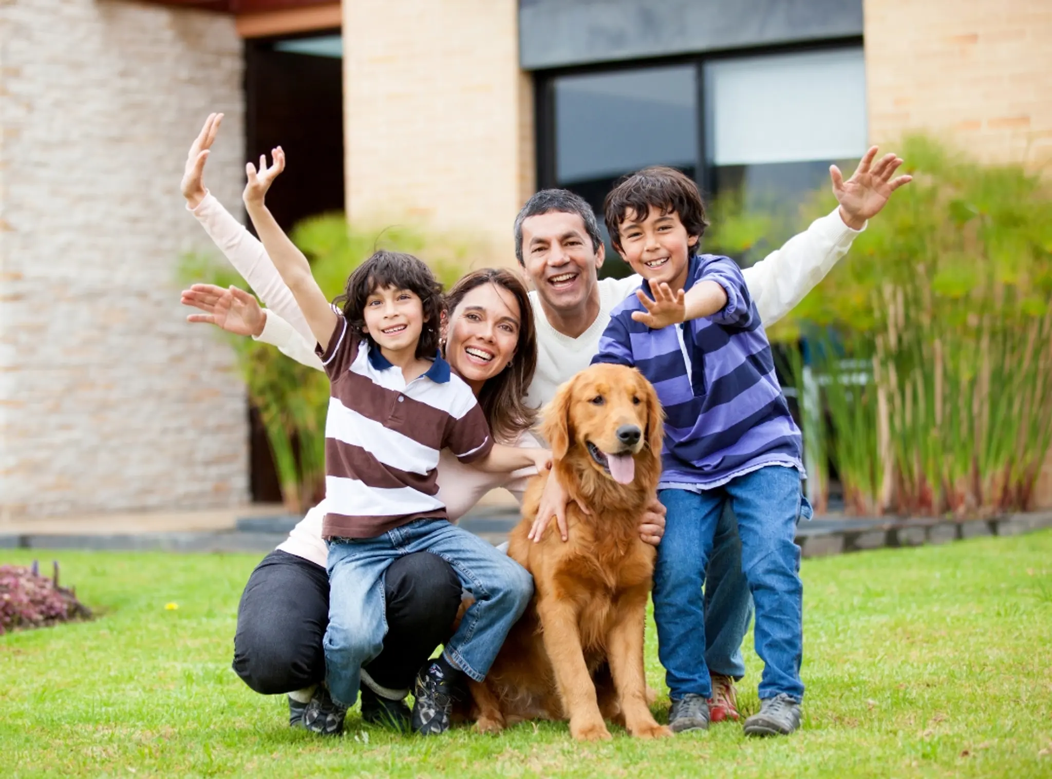 Thumbnail: family 1_M3OXtlYybzAeQxFk