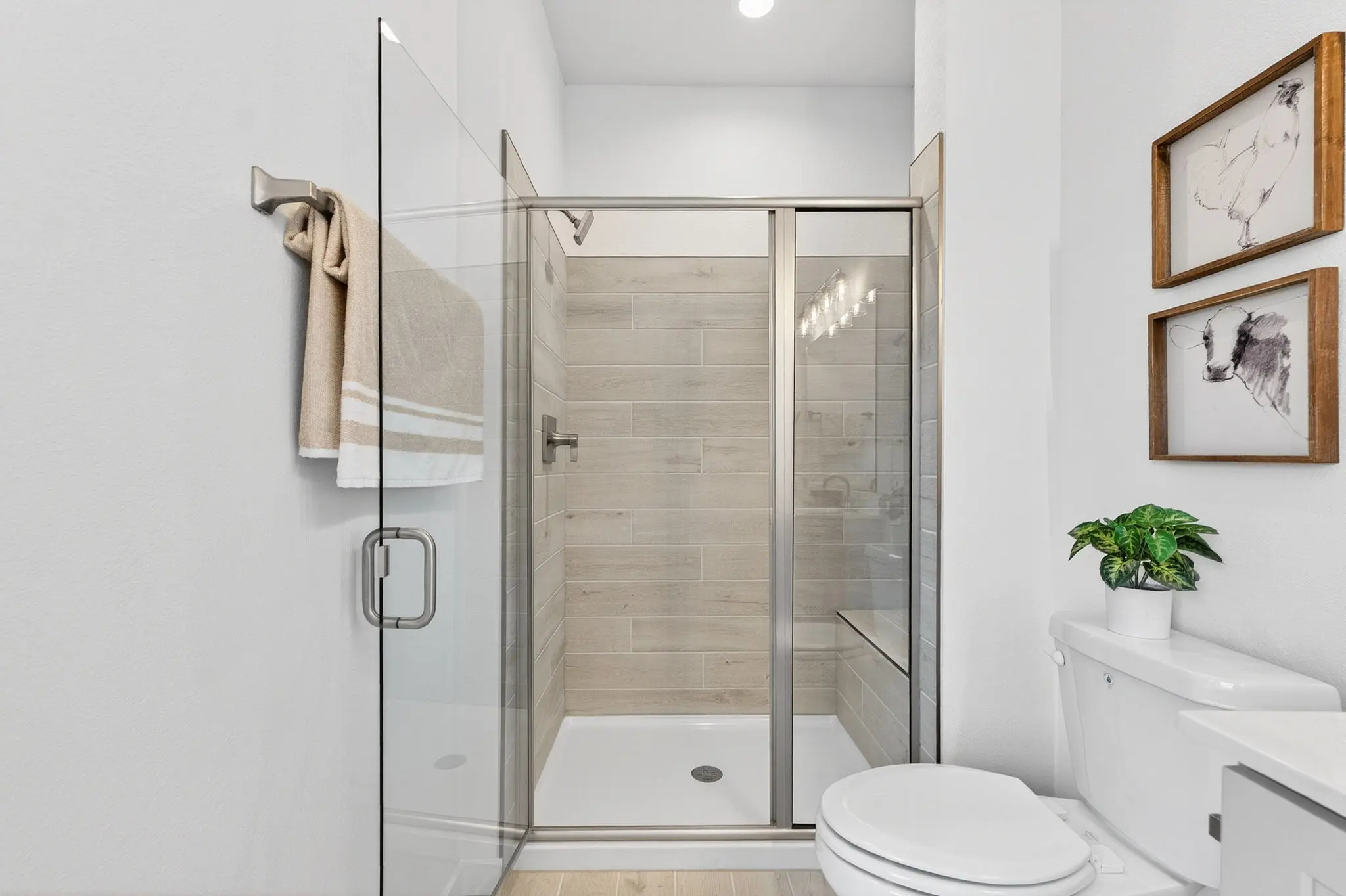 Primary Suite Shower