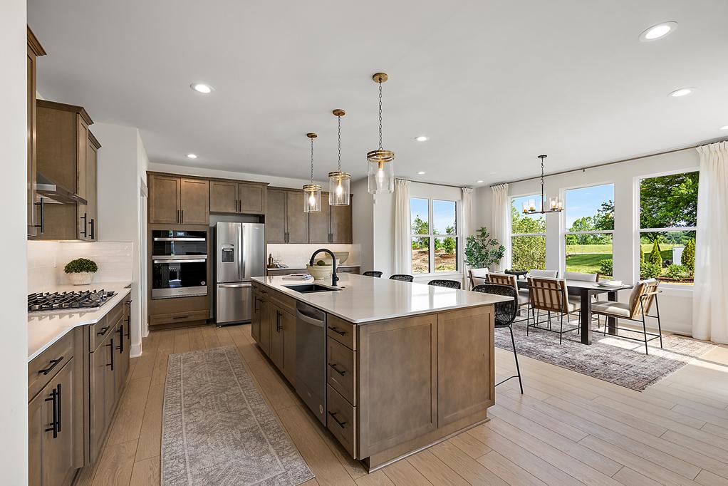 Gallery Thumbnail - 4