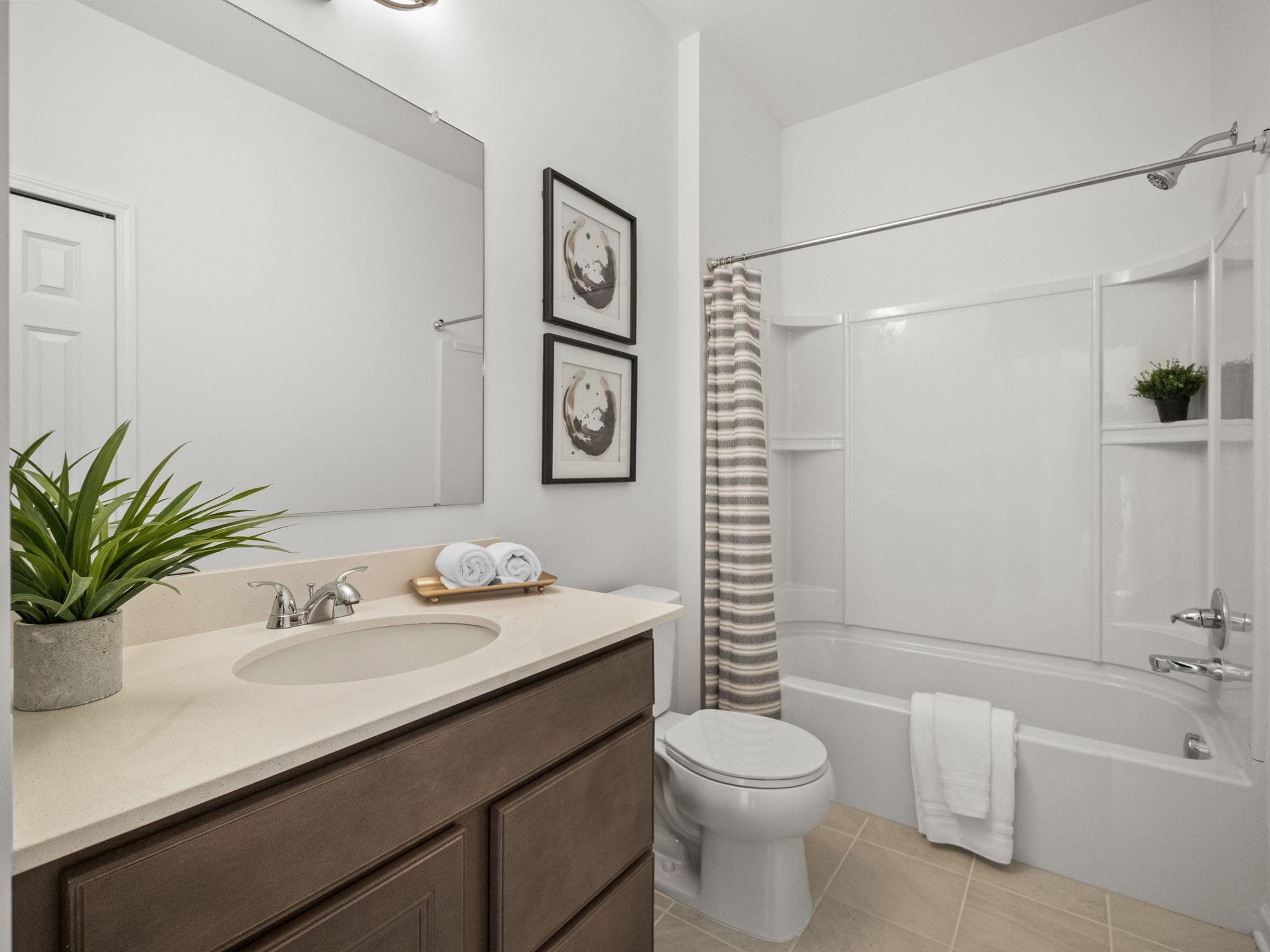 Gallery Thumbnail - 3