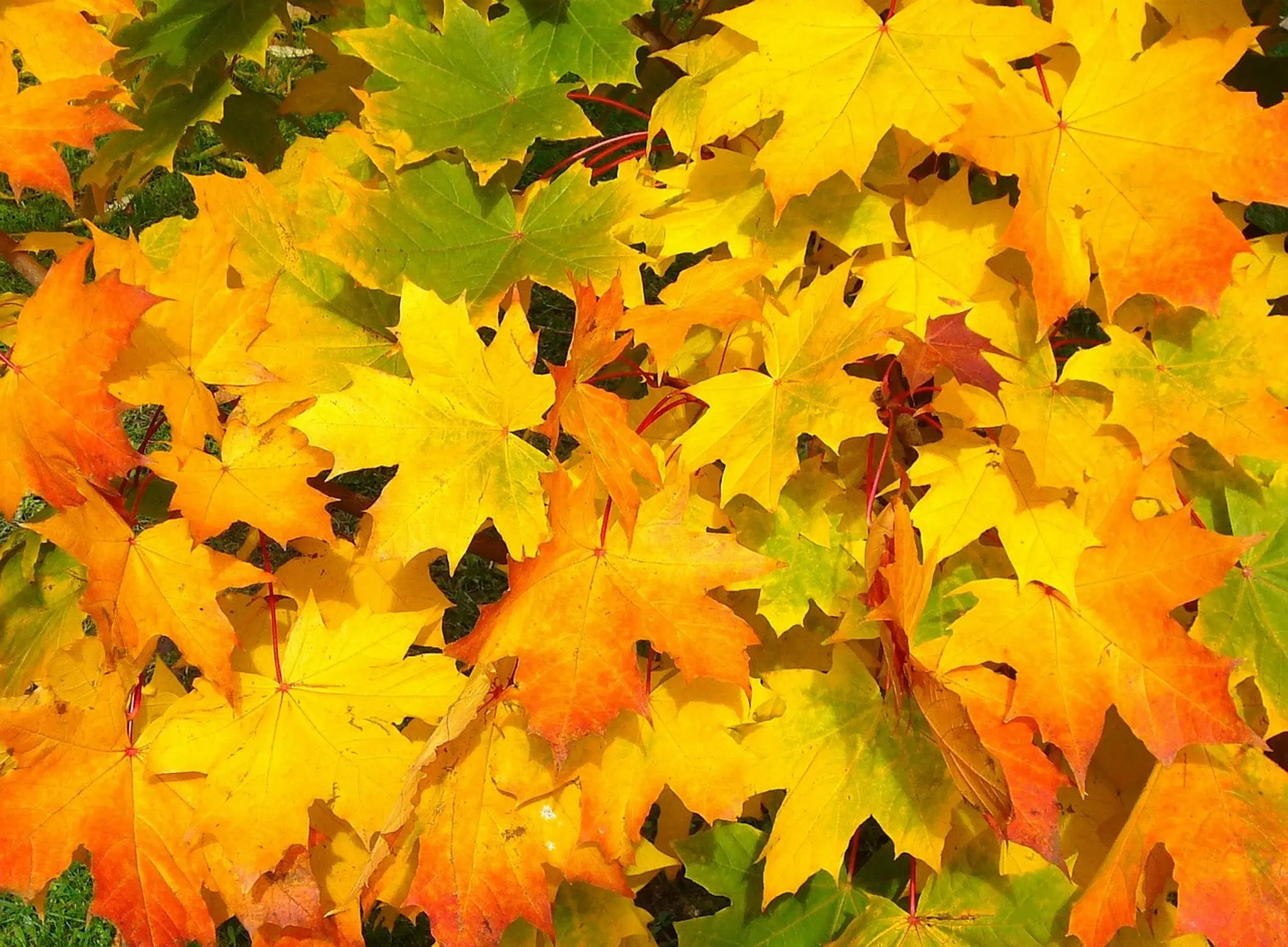 Blog post image: null