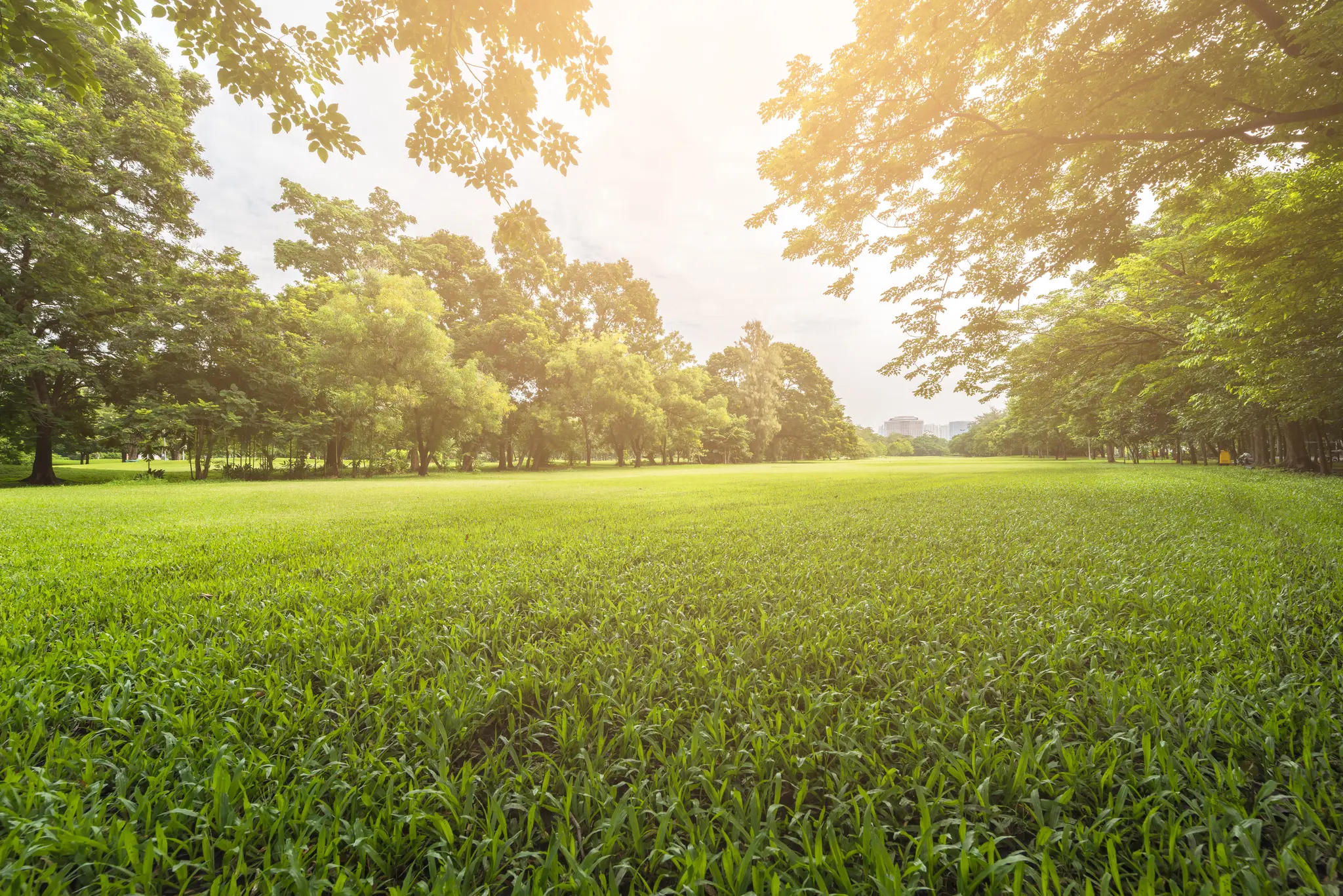 Thumbnail - 4 Lots Available on Hagerman Road in Addison Township!