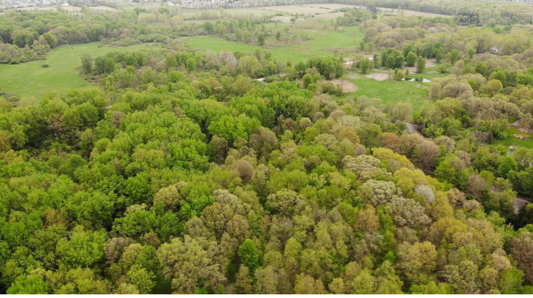 Thumbnail - 1192 Stags Leap, Ann Arbor, MI 48103