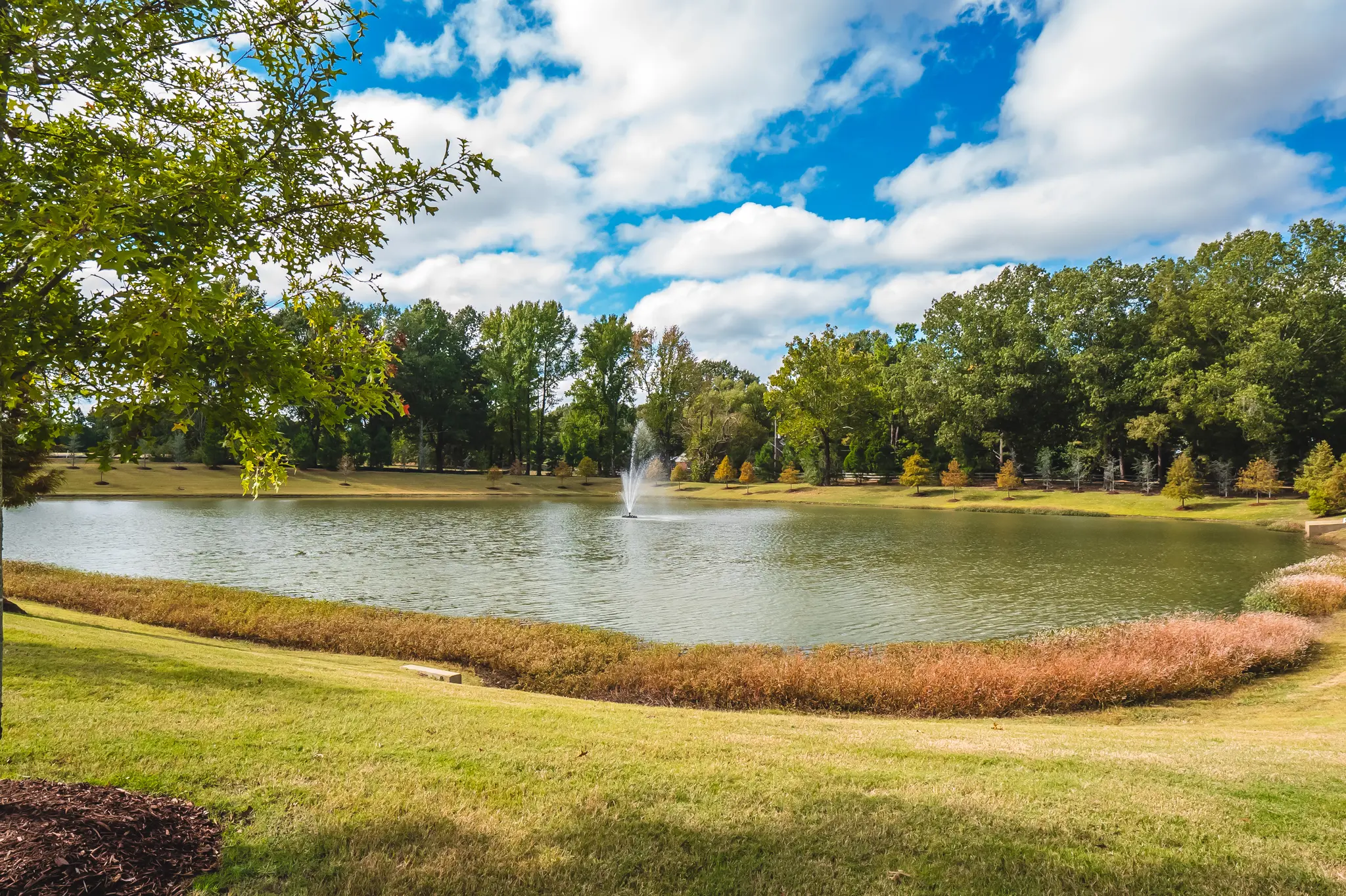 Thumbnail: Cypress Grove is Perfect for Homeowners Who: