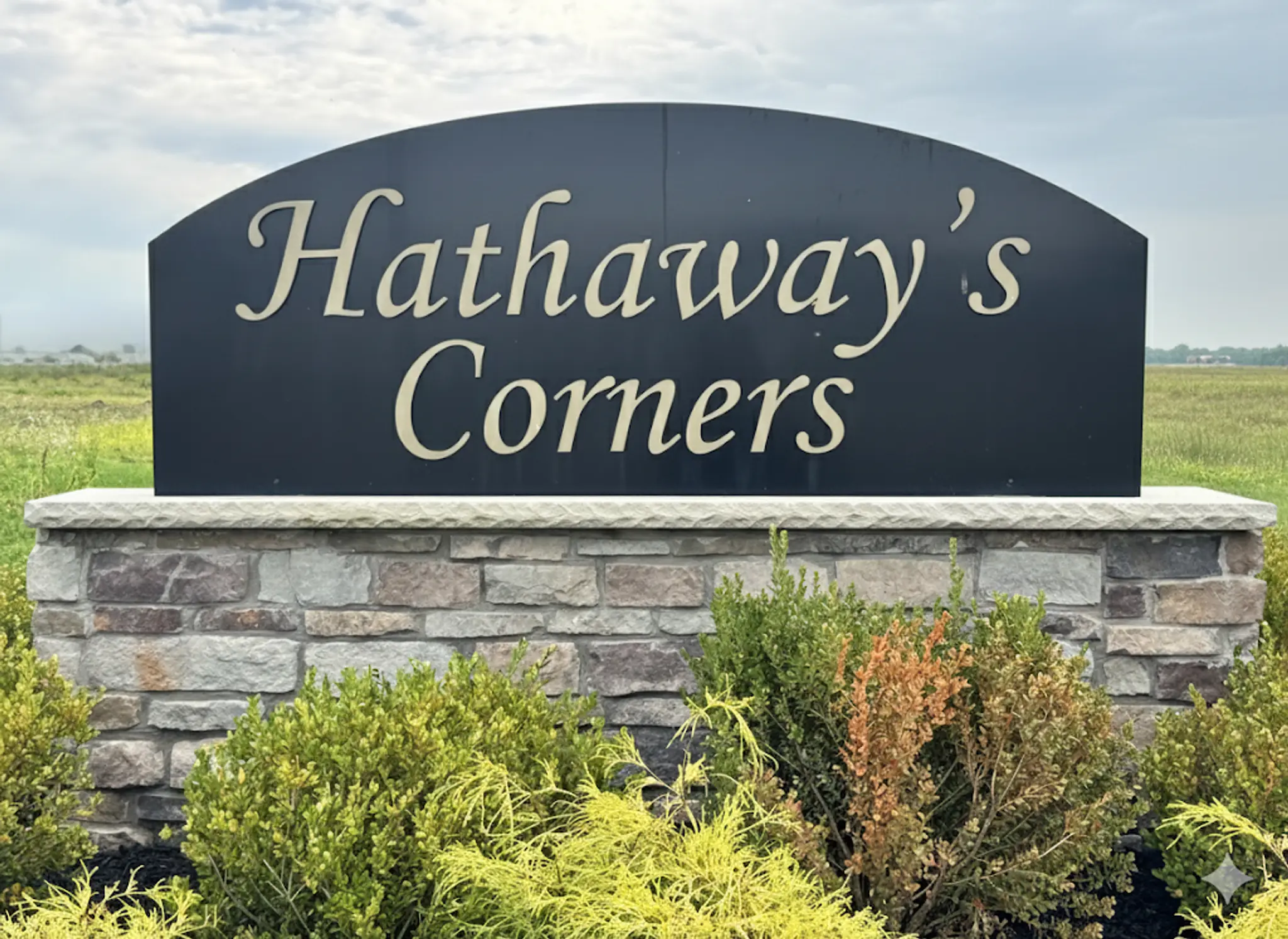 Gallery Thumbnail - 1