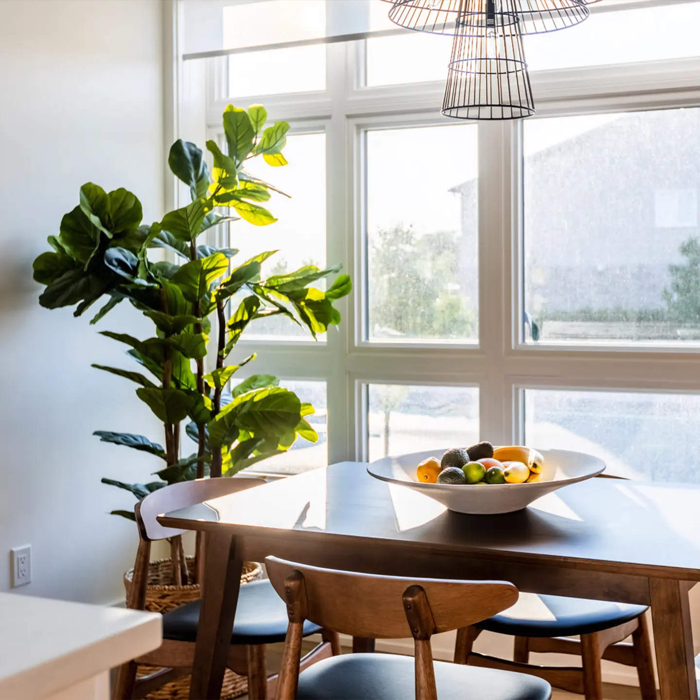 Sunlit dining area with wood table, large windows, indoor plant, and modern pendant light