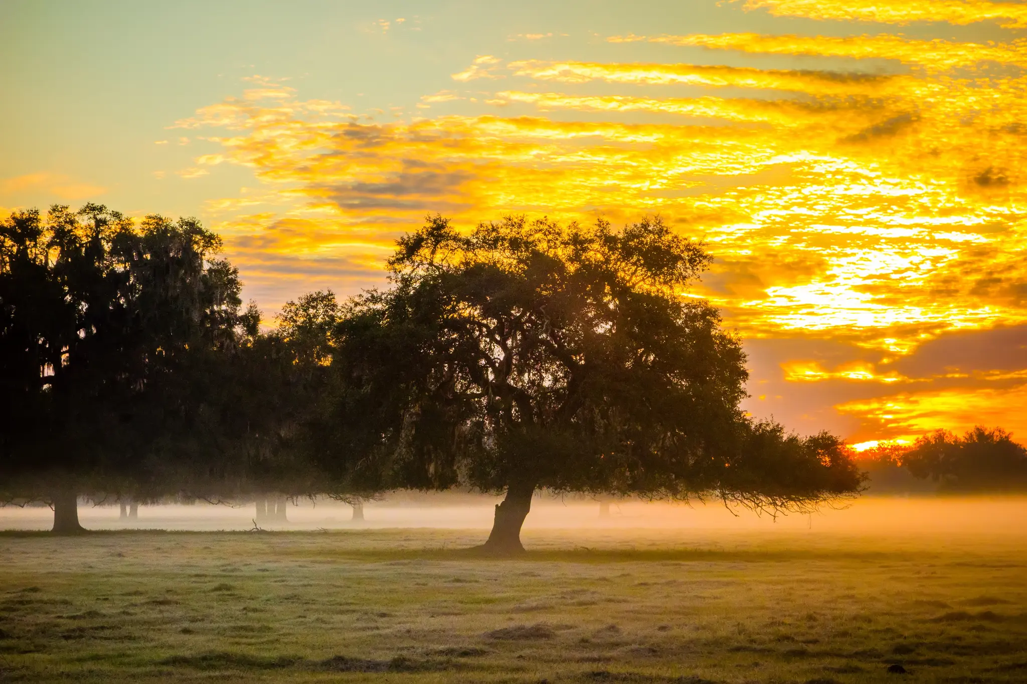 Thumbnail: Don't Have Land Yet? We'll Help You Find the Right Homesite.