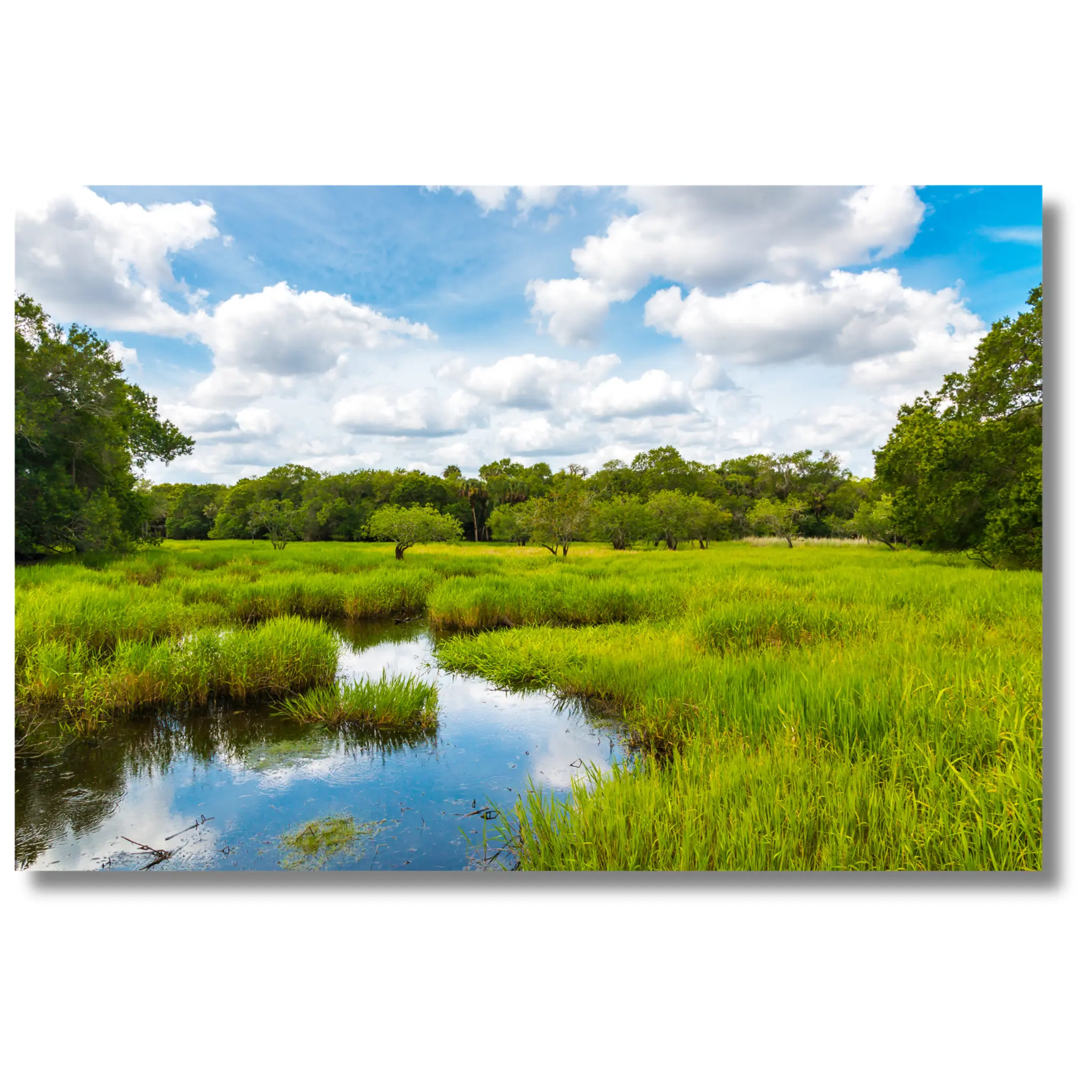 Thumbnail: Land Evaluation: Know Before You Buy