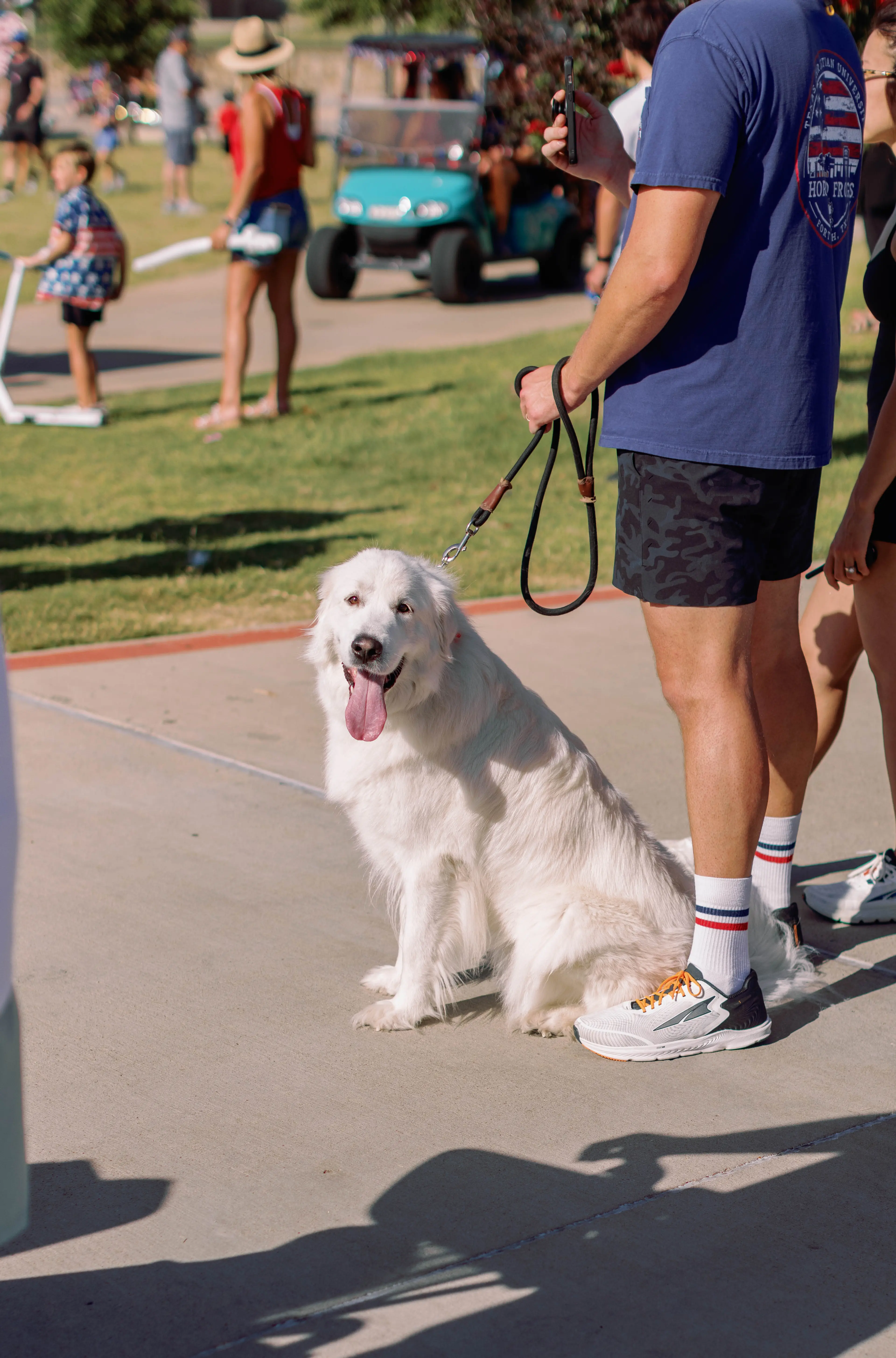 Thumbnail - Welcome to the Morningstar Dog Park – Where Tails Never Stop Wagging! 