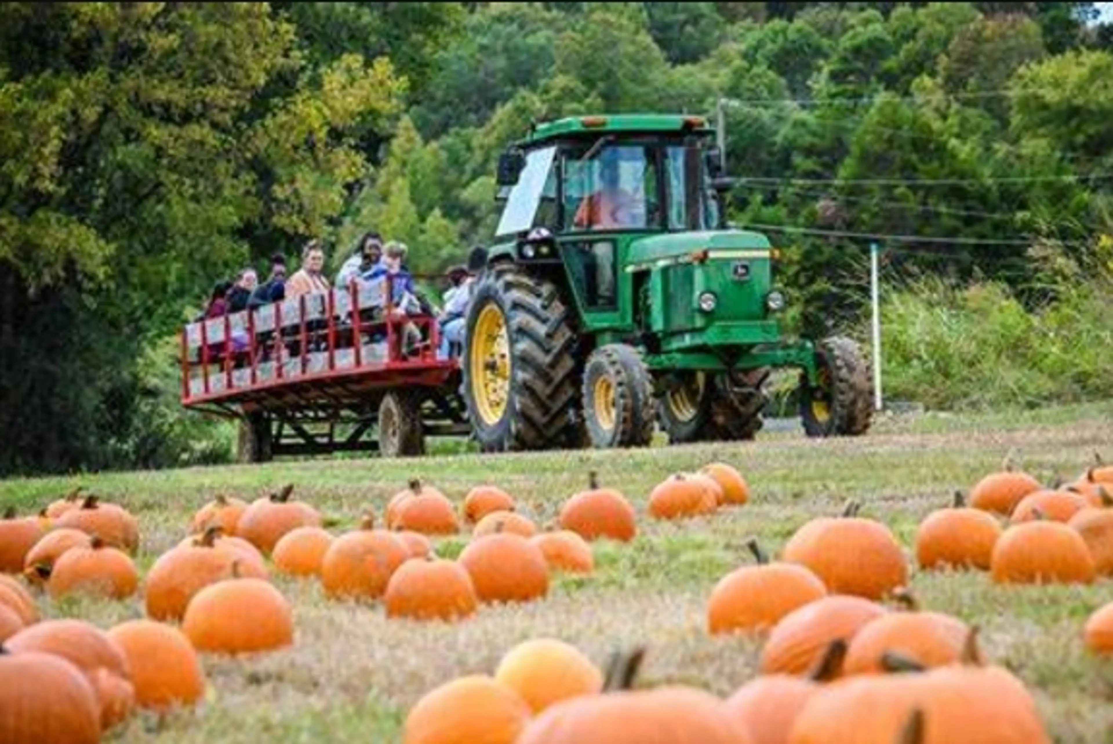 Thumbnail - Almond Farm