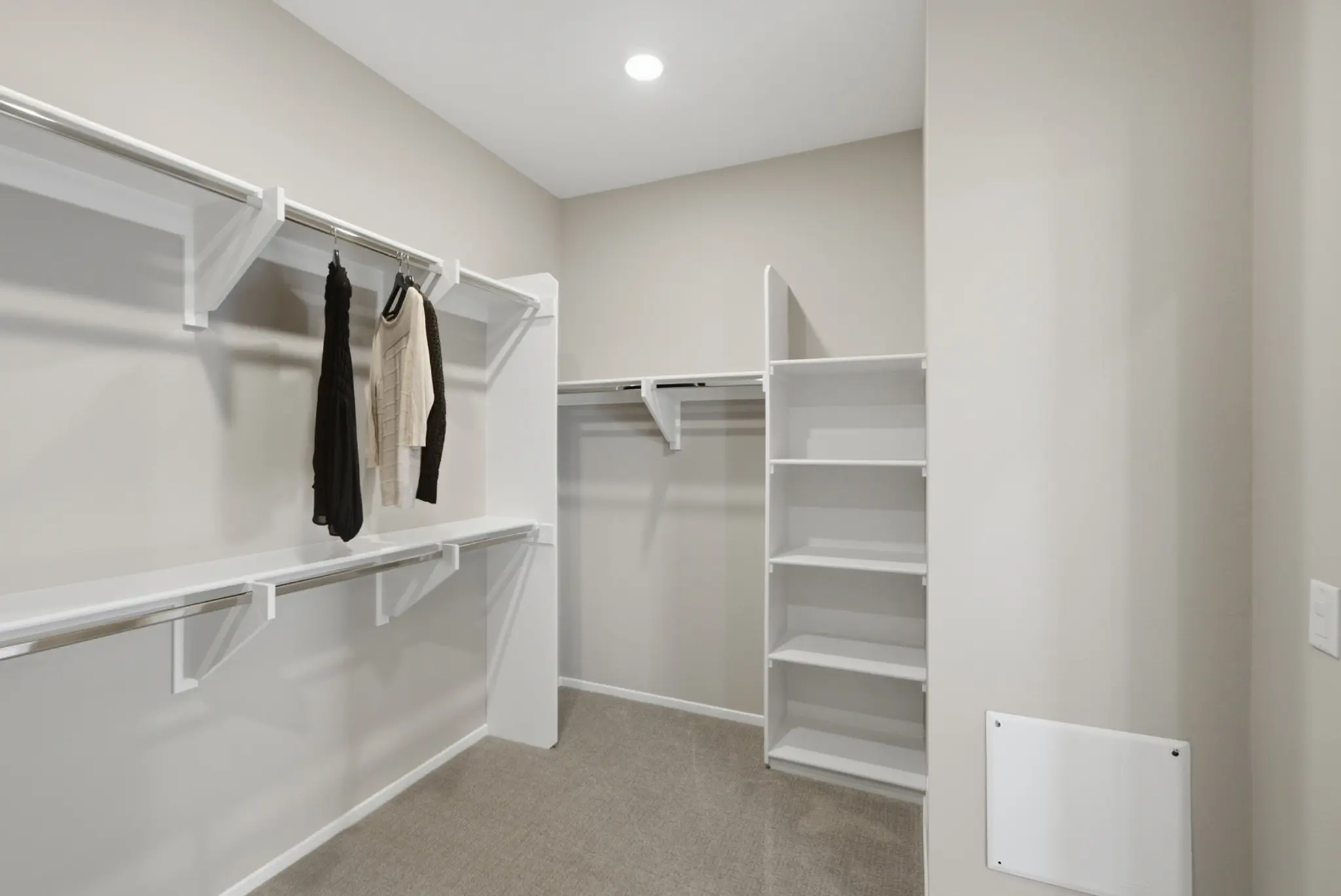 Primary Walk-in Closet