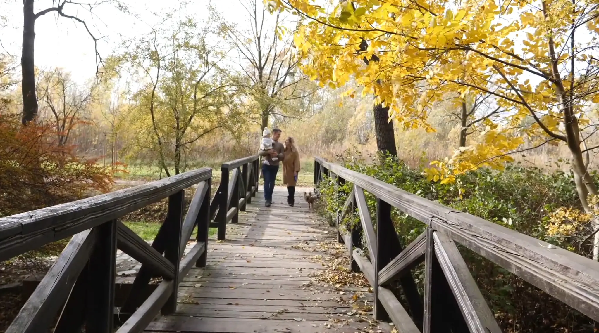 Walking Trails
