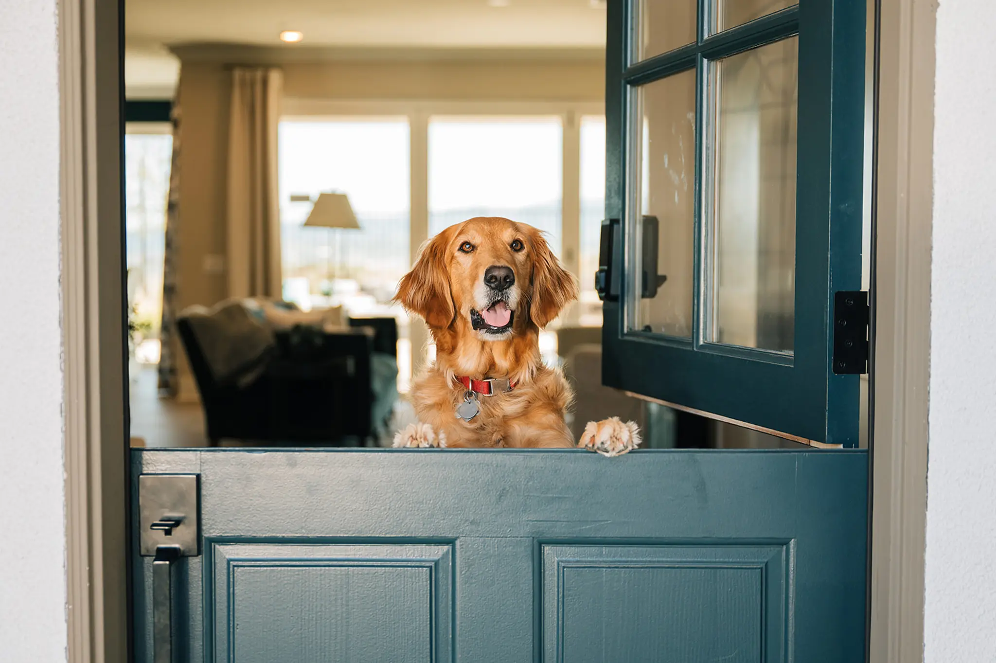 Thumbnail: A Day in the Life at Williams Homes