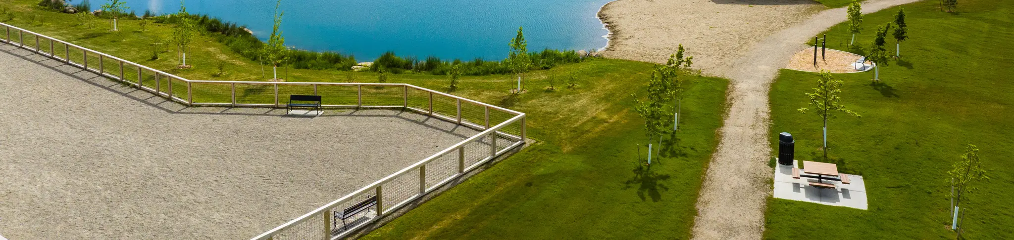 Dog Park