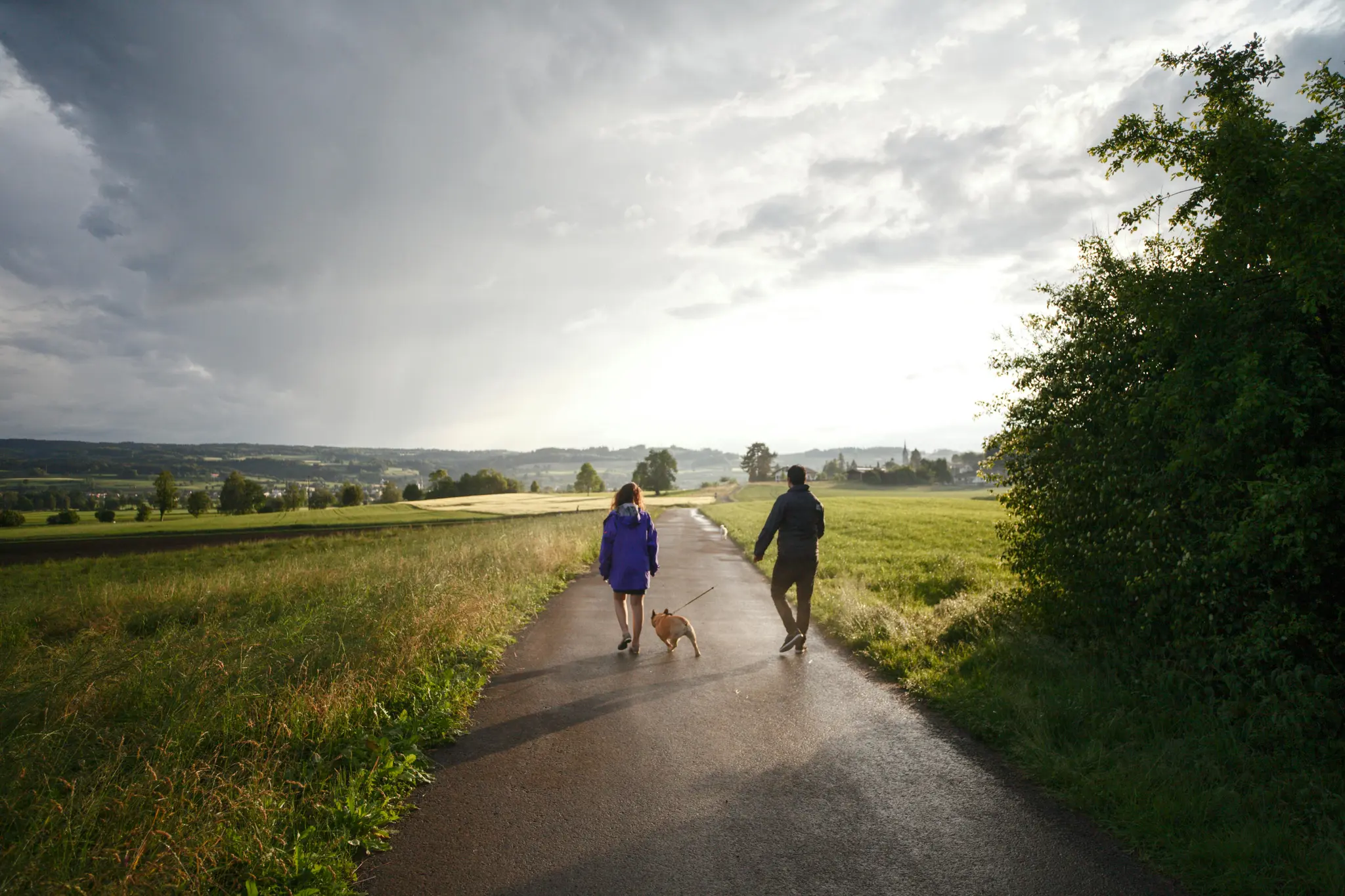 Bike & Walking Paths
