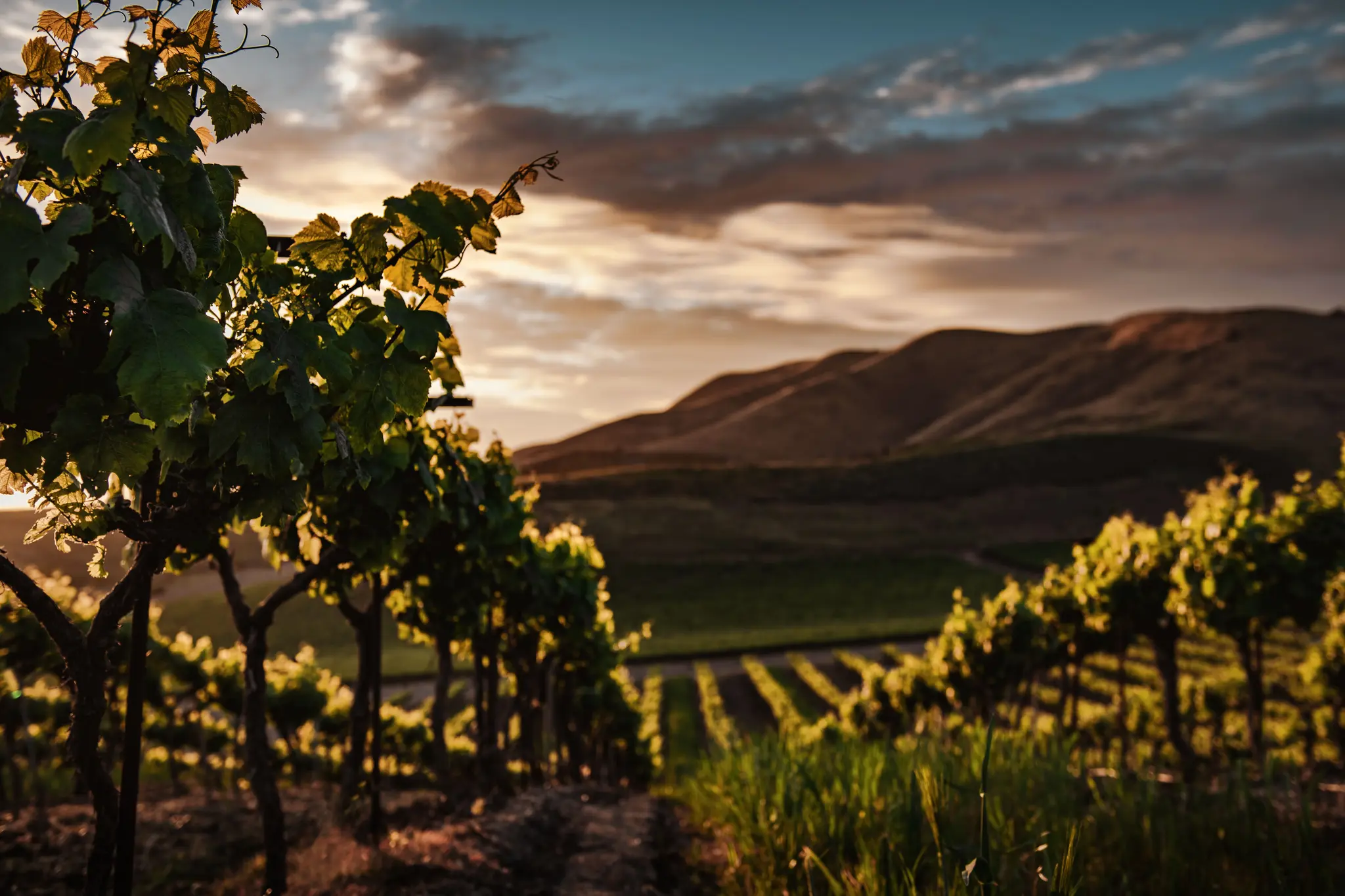 Thumbnail: Coastal & Wine Country Living