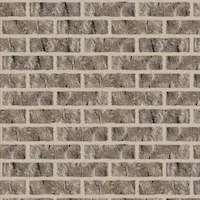 BrickCastle Rock Tudor With Light BuffStandard